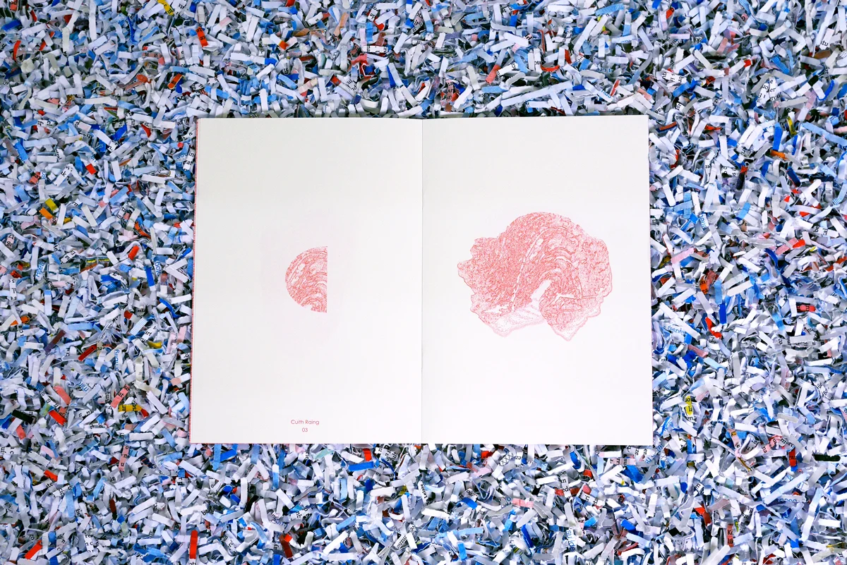 ruohong wu_microcosm_07.jpg