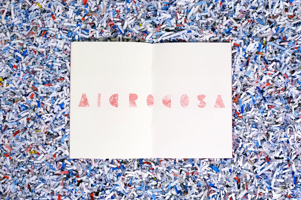ruohong wu_microcosm_08.jpg