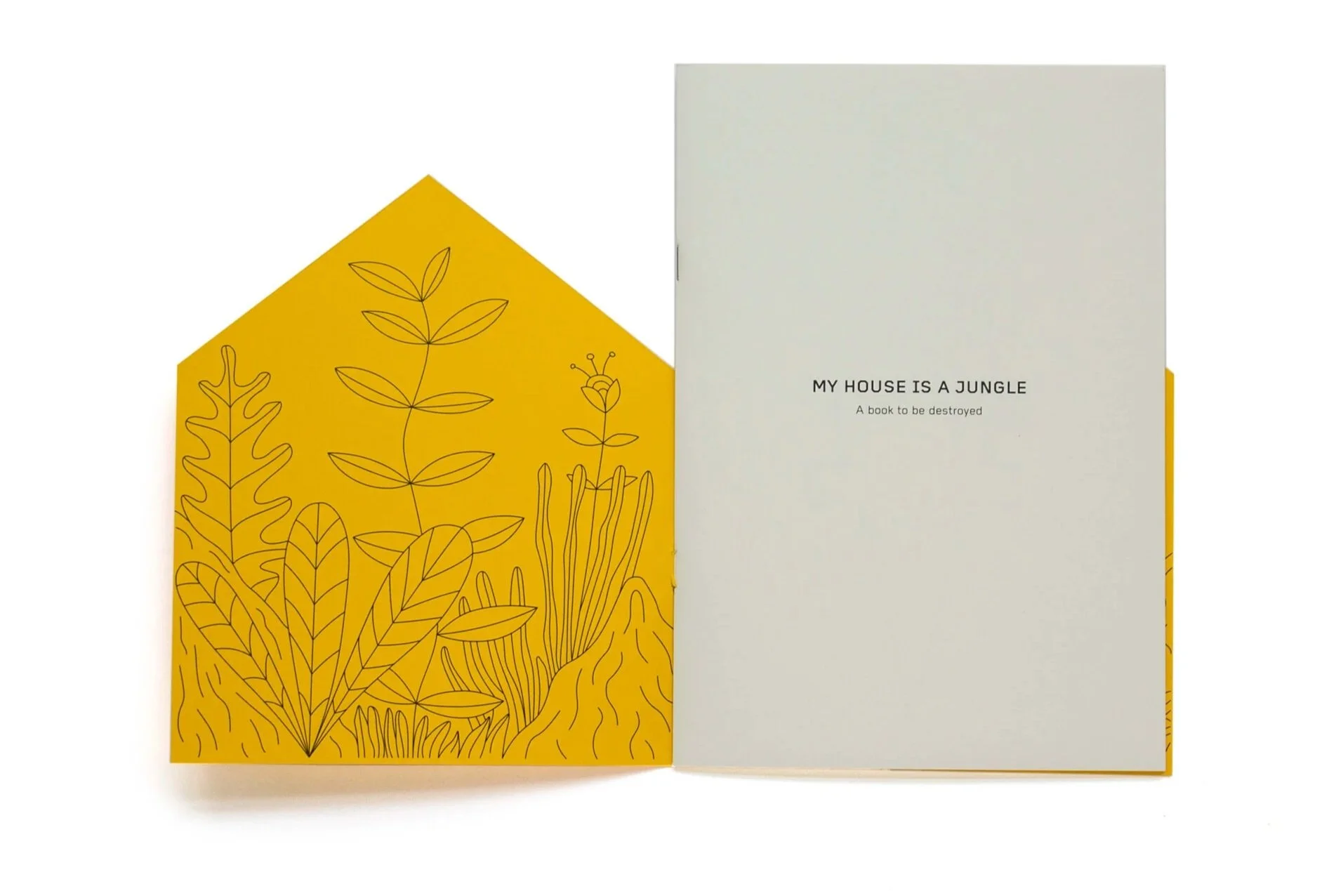 RUOHONG+WU-PLAYBOOKS_05.jpg