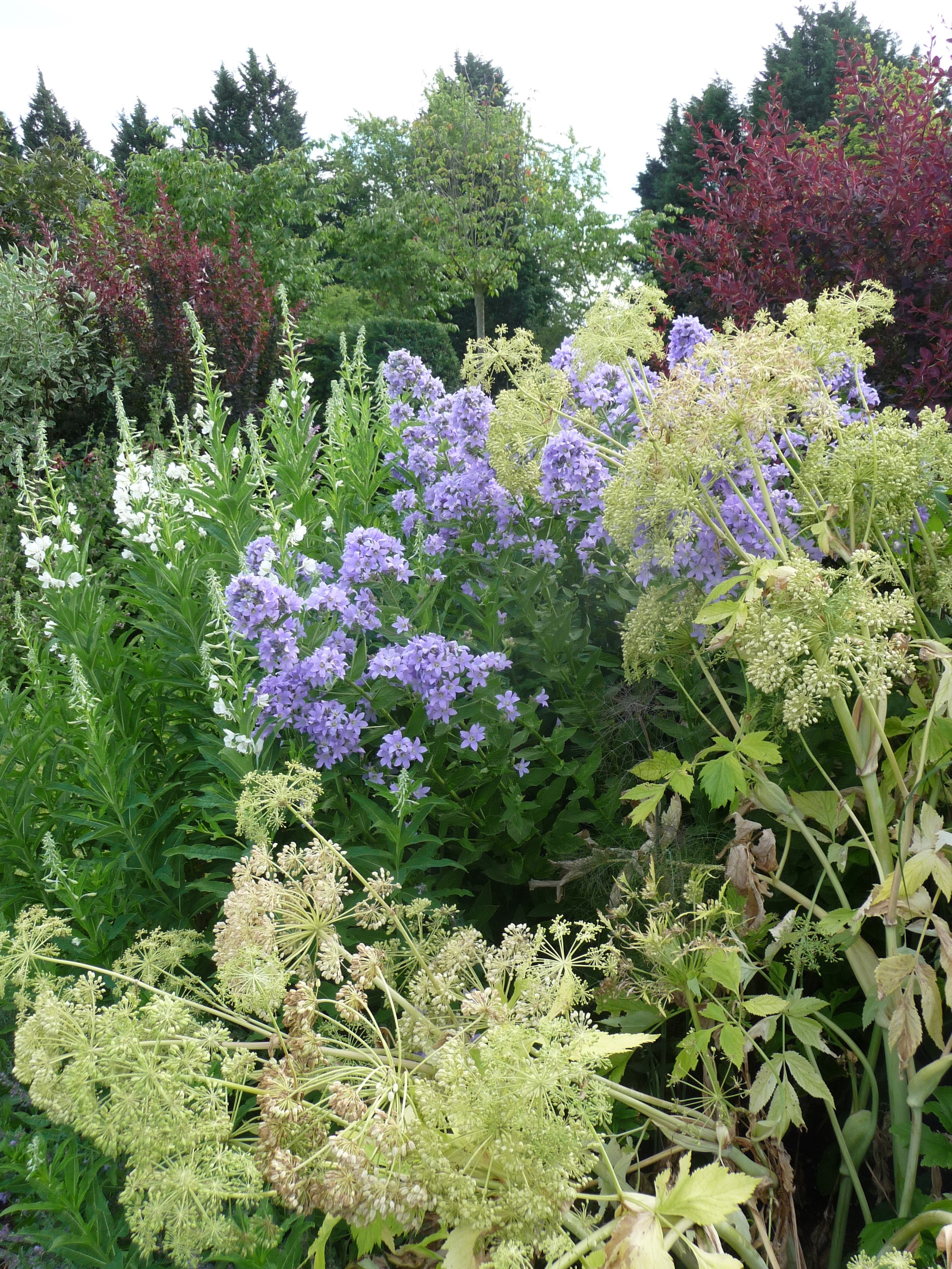 Planting detail.jpg