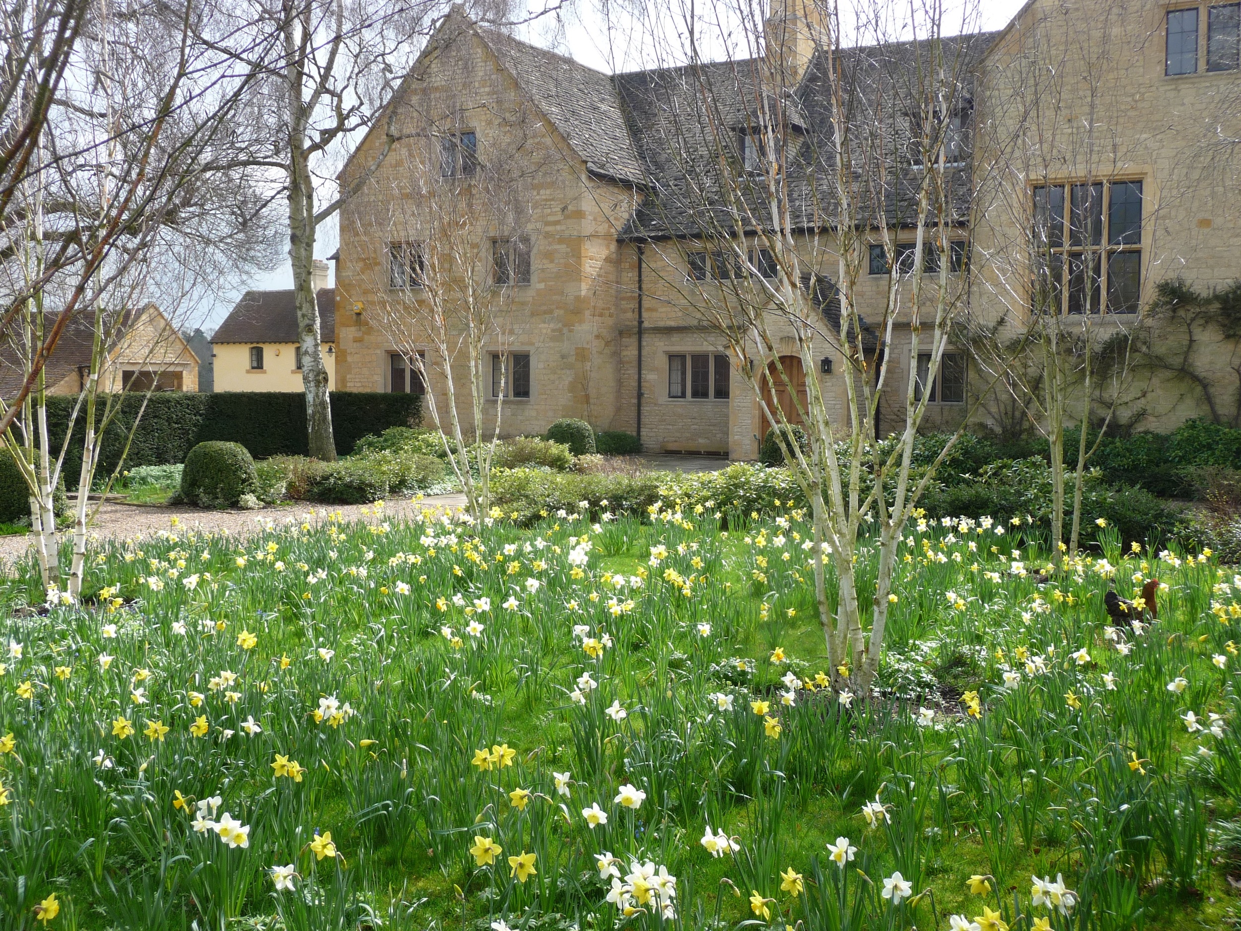 View to entrance of house.jpg