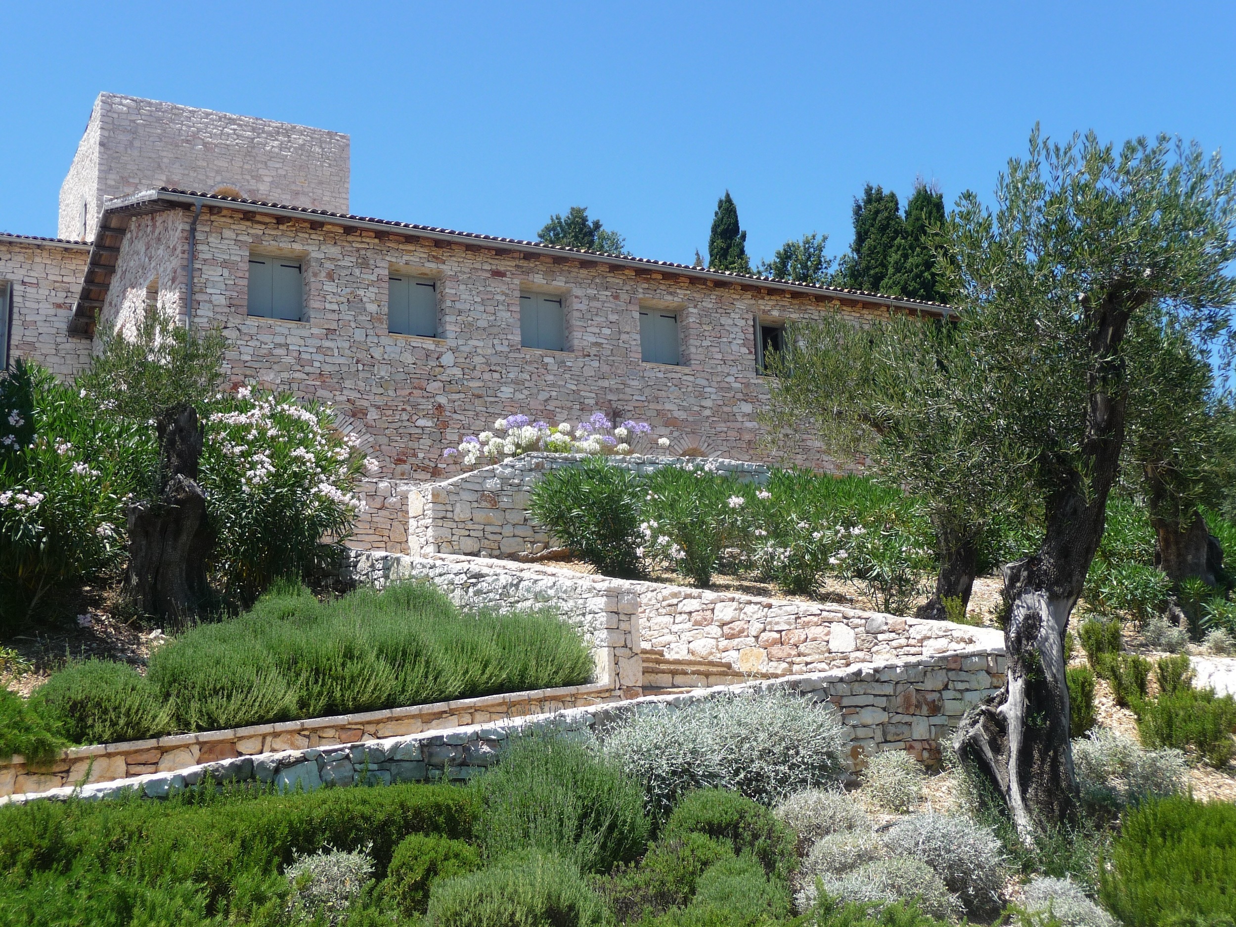 View up to House.jpg