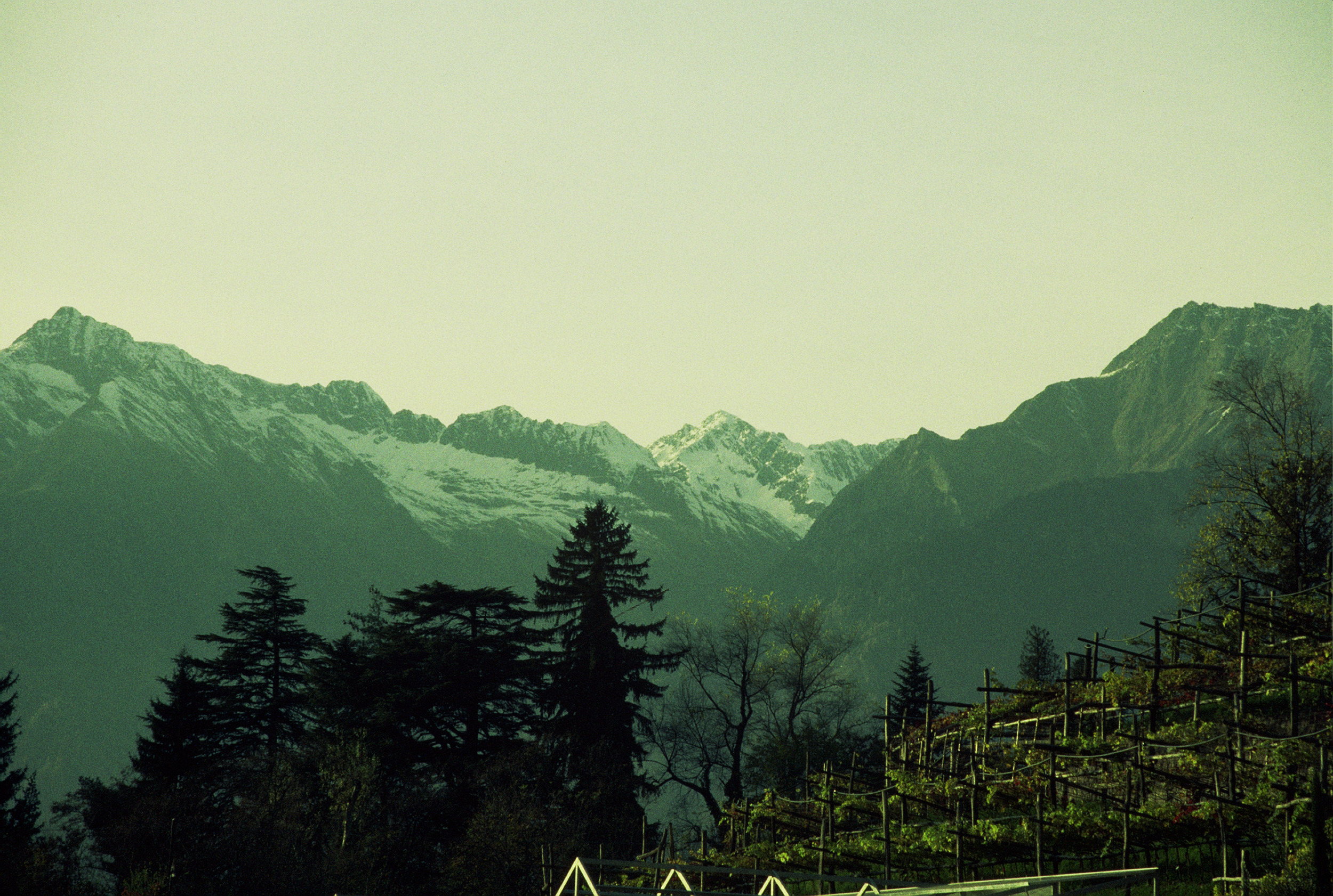 View of the Alps from the Garden.jpg
