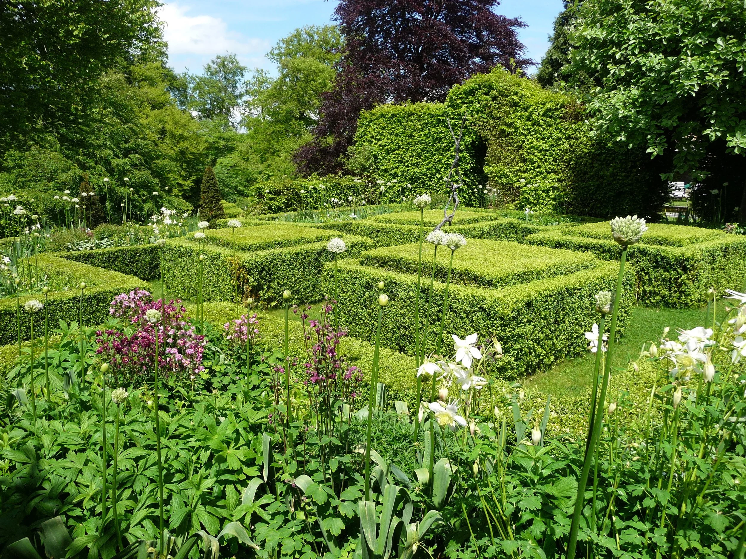 Rose Garden.jpg