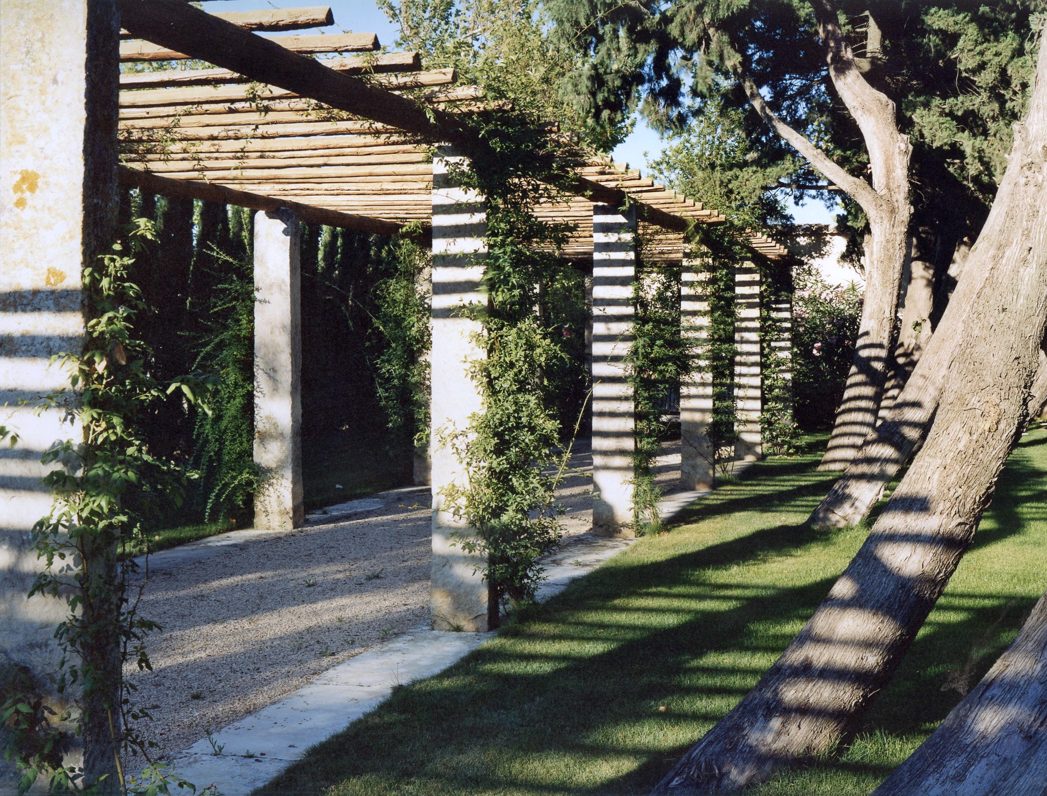 MdB pergola.jpg