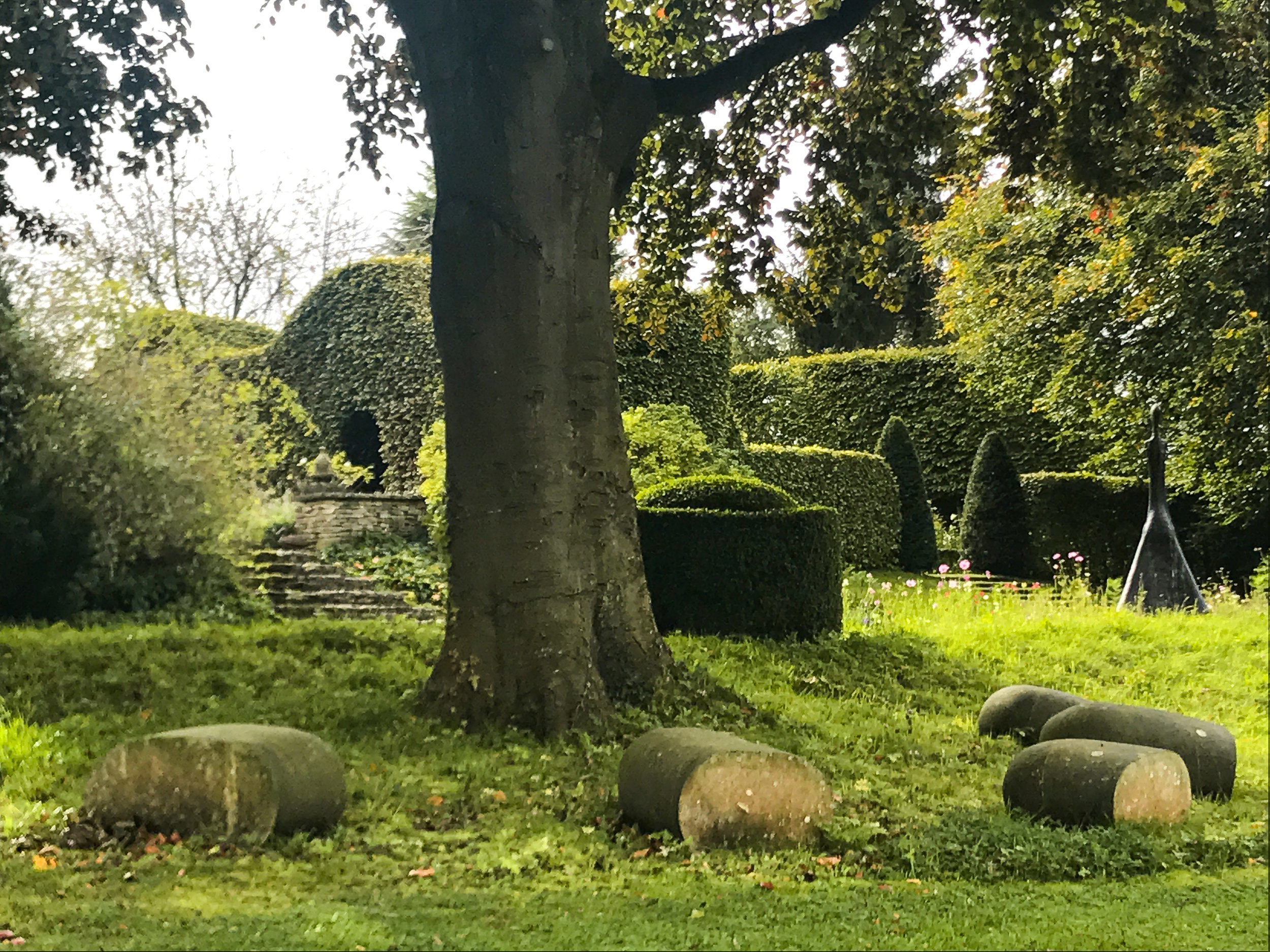 View from lower lawn to rose garden.jpg