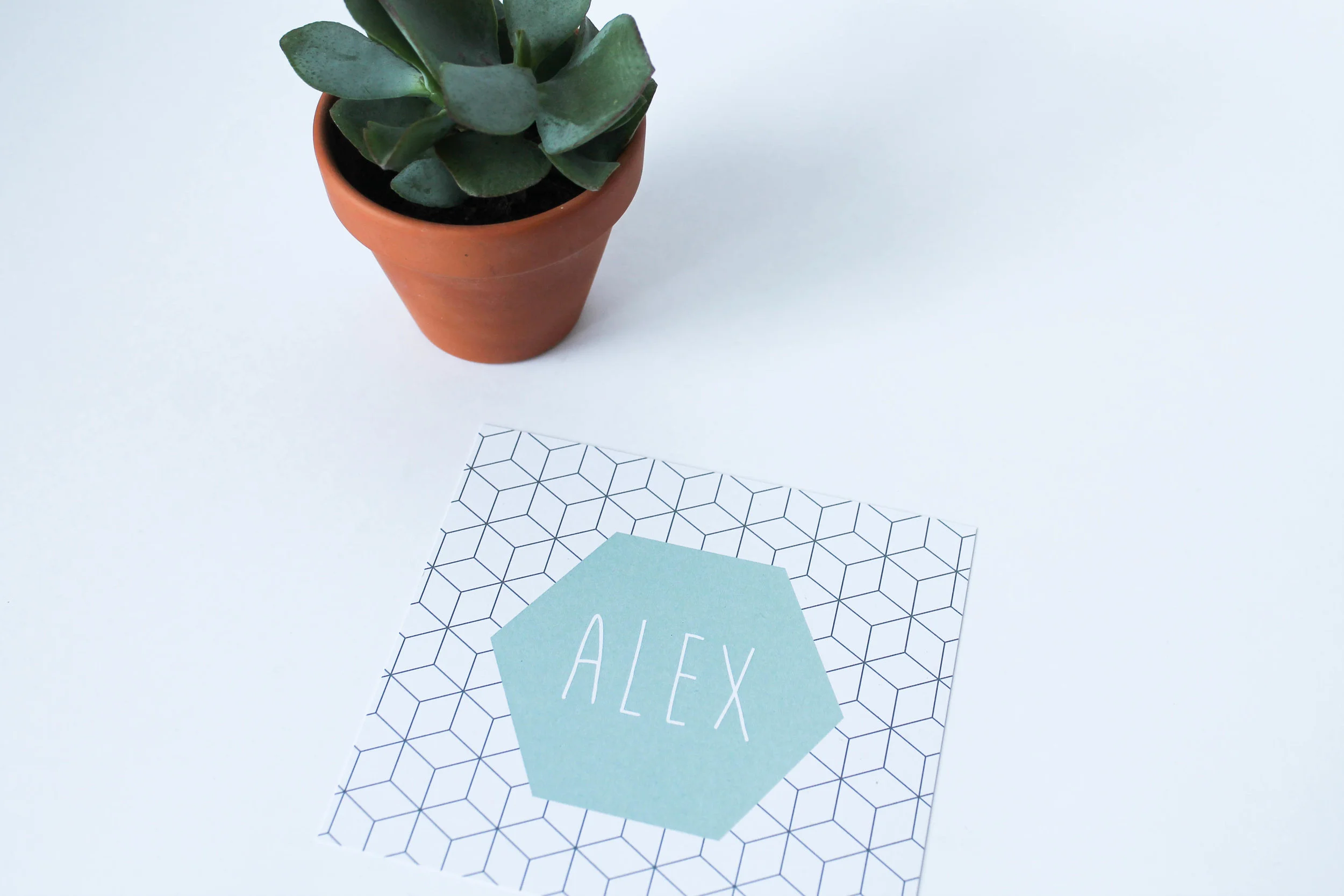 03-07_Alex.jpg