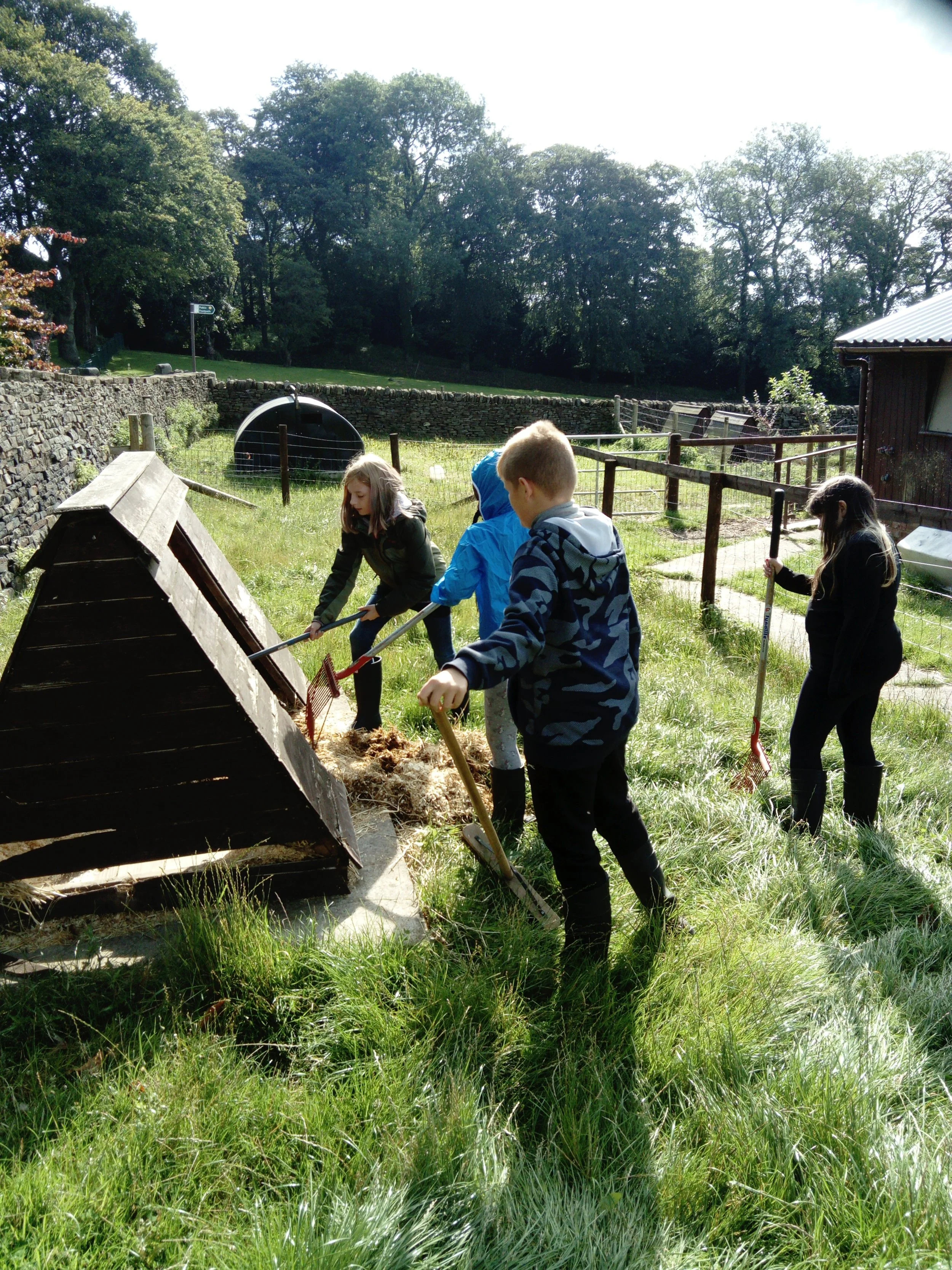 All the fun of the farm