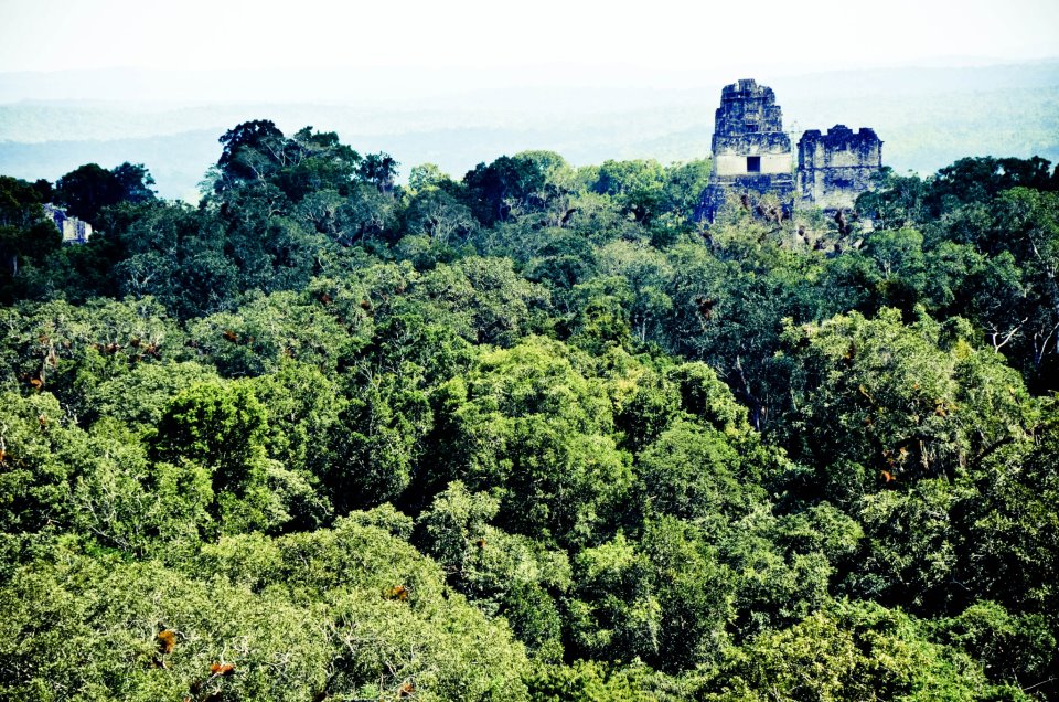 Tikal, Guatemala