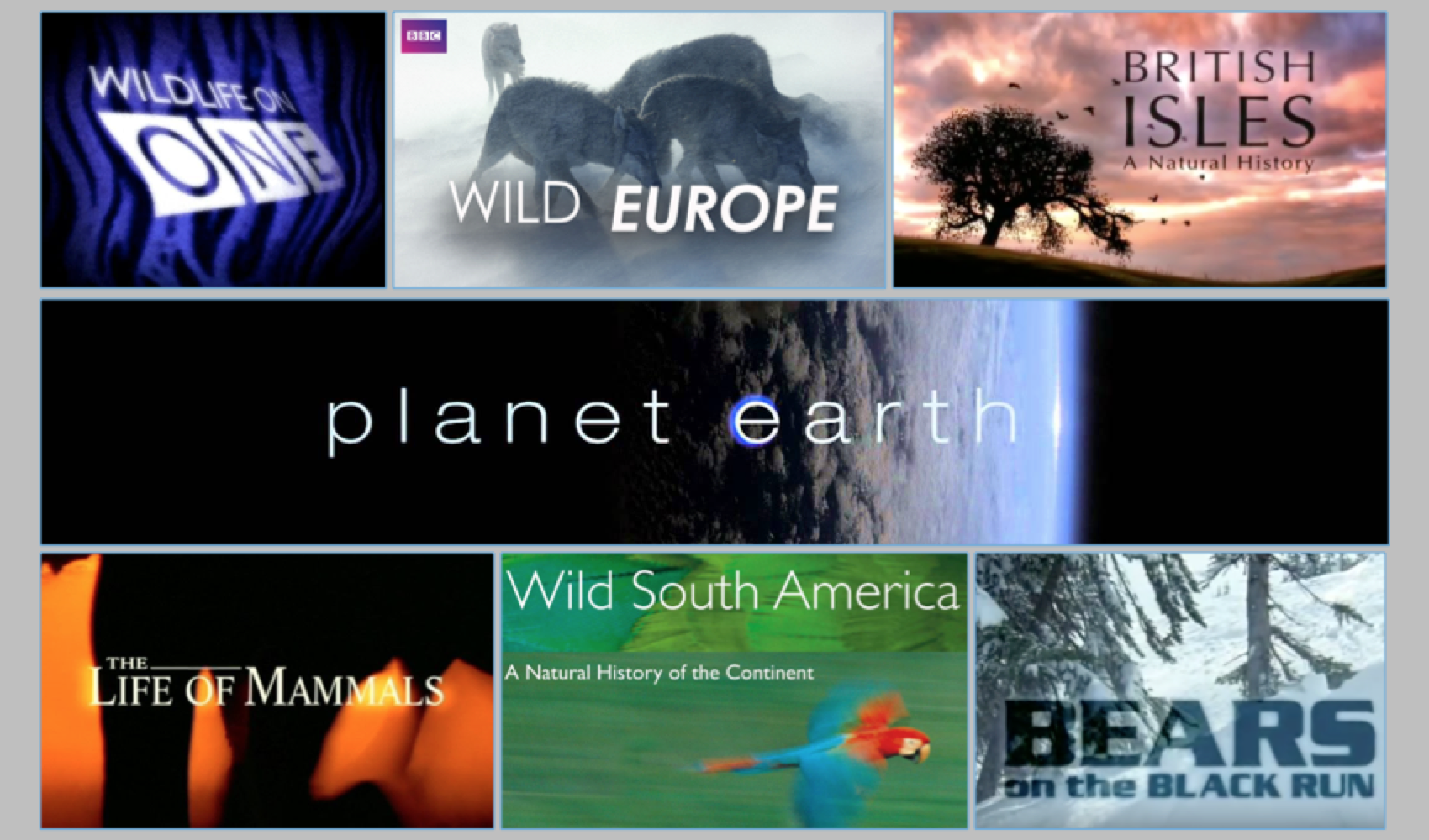 Screen Shot 2018-10-16 at 6.54.46 pm.png