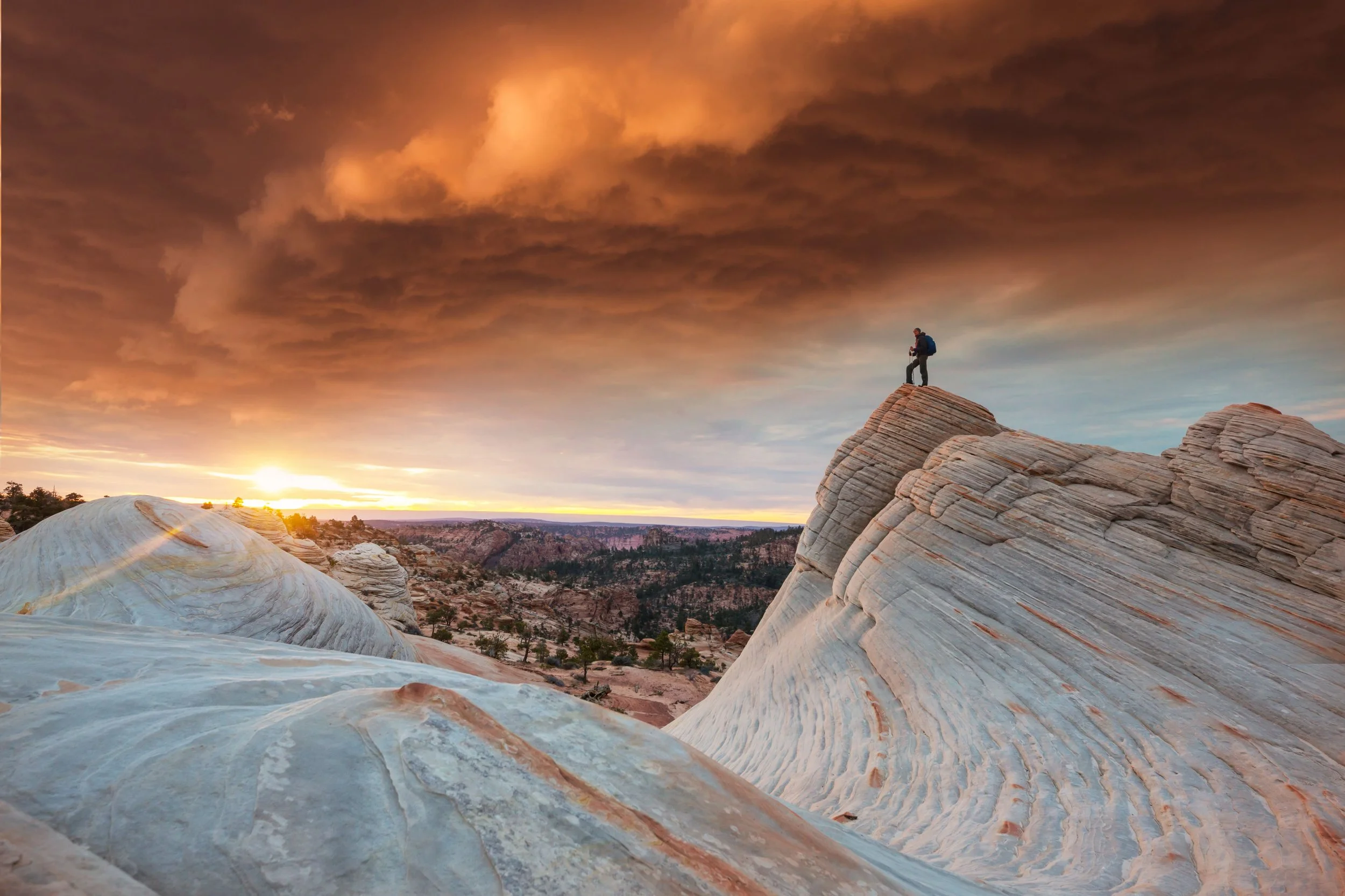 AdobeStock_480147249-min.jpeg
