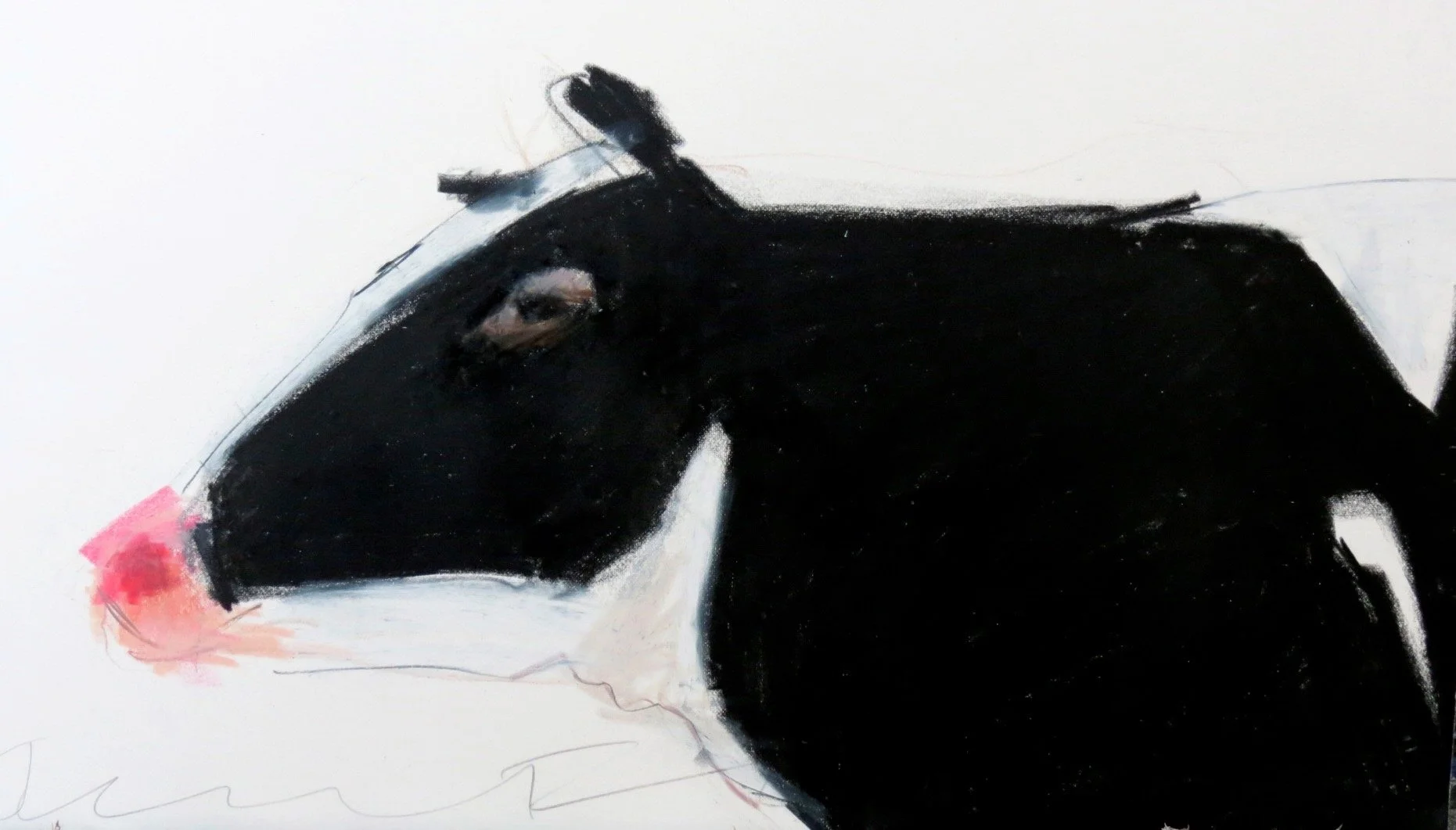 cow profile.jpeg