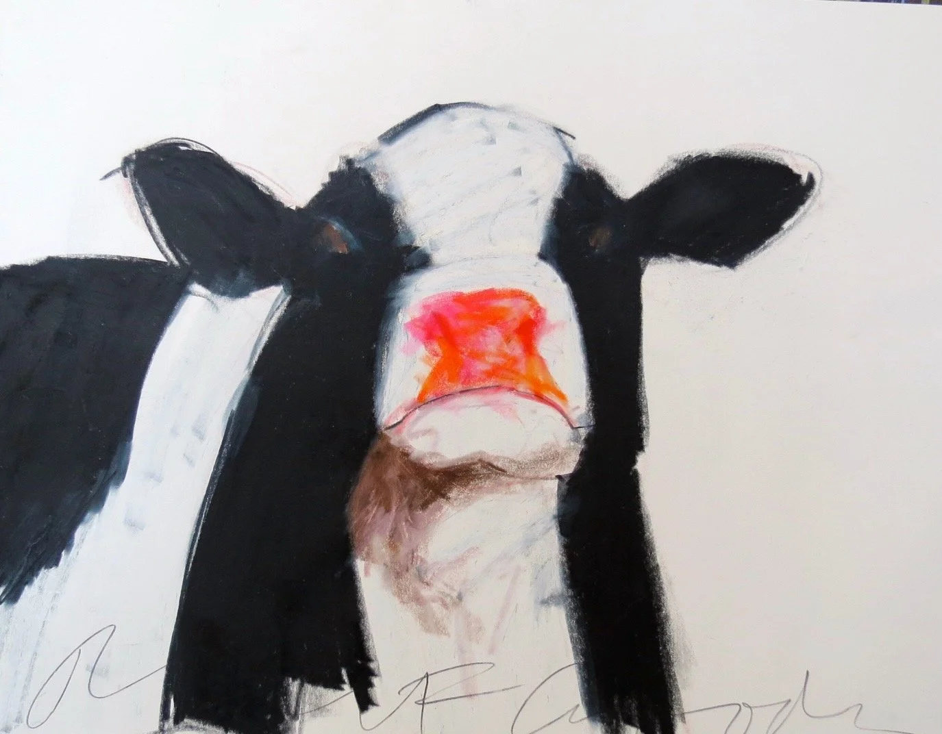 cow face.jpeg