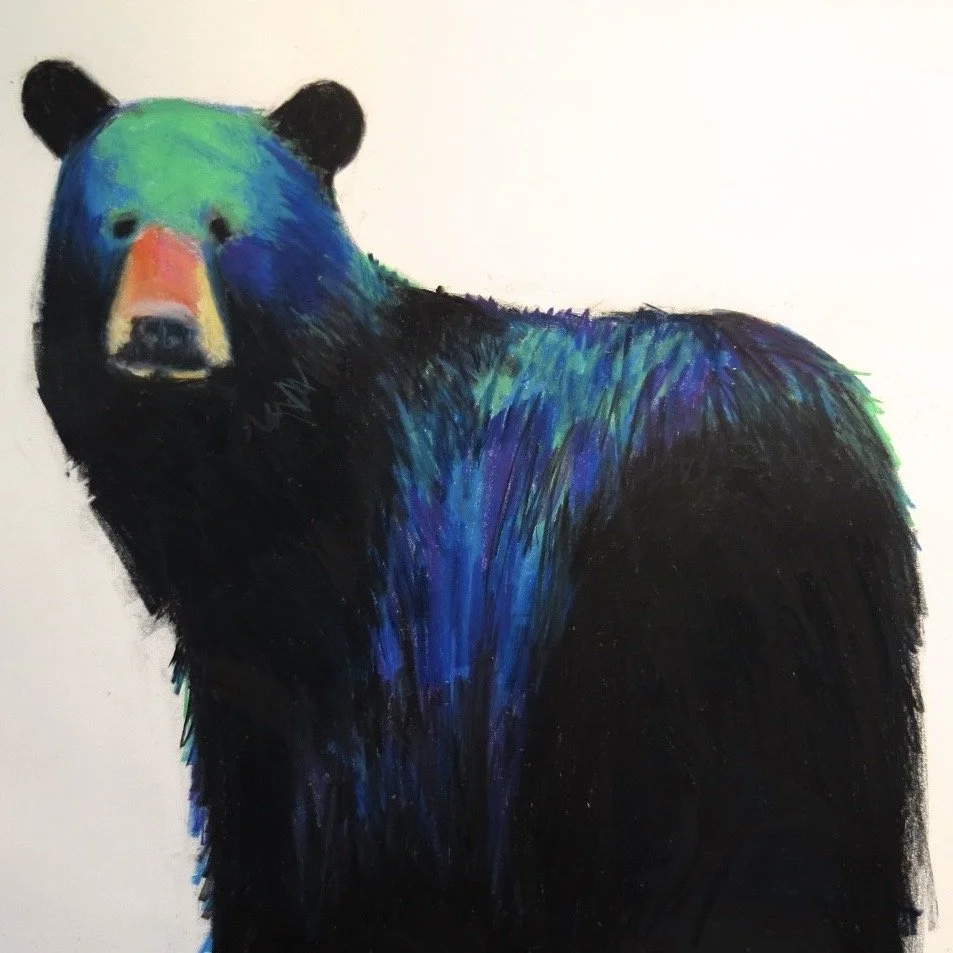 Black bear with colorful back