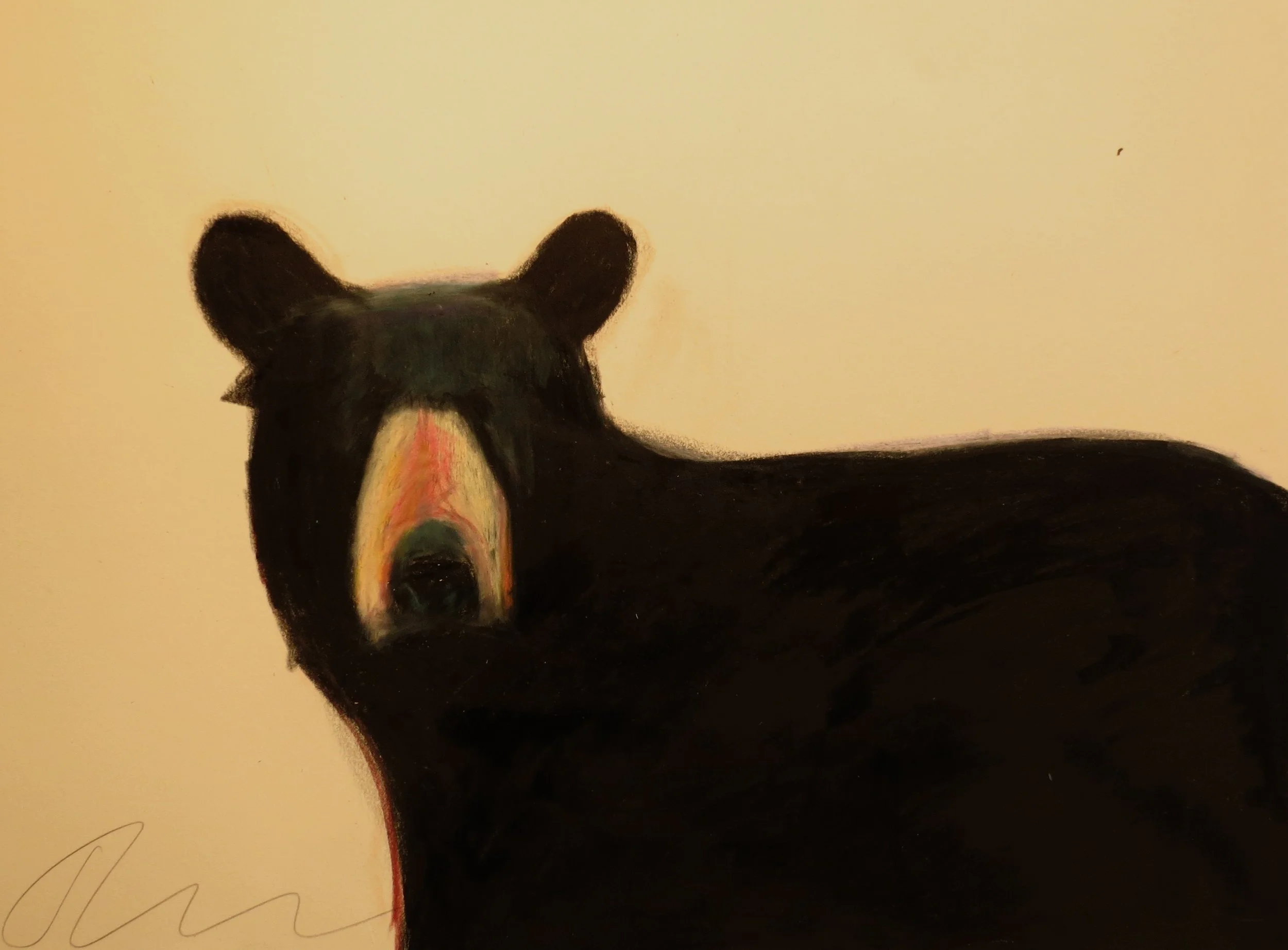 Black bear in yellow sky