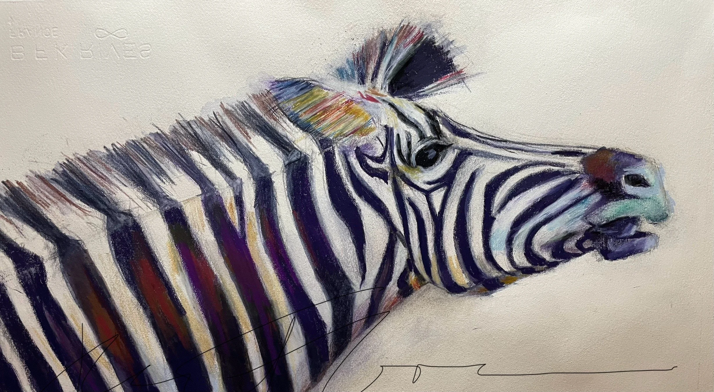 Zebra portrait