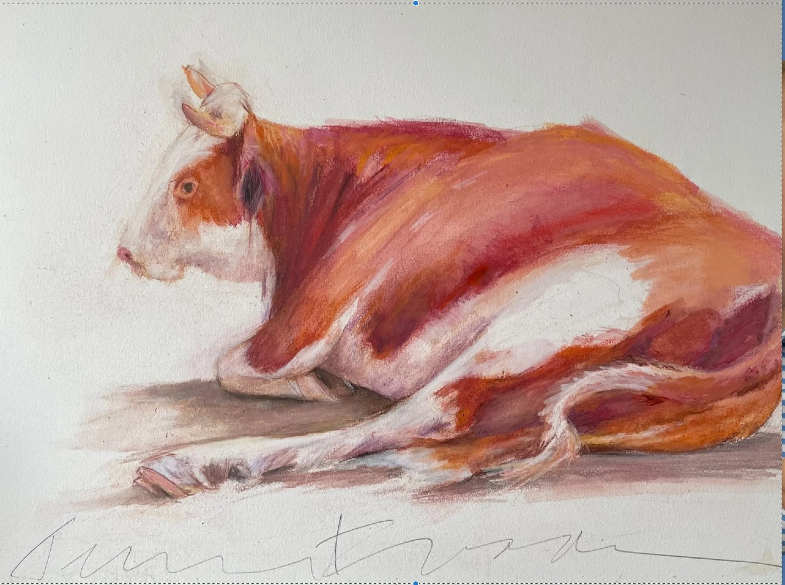 Brown Cow at Rest