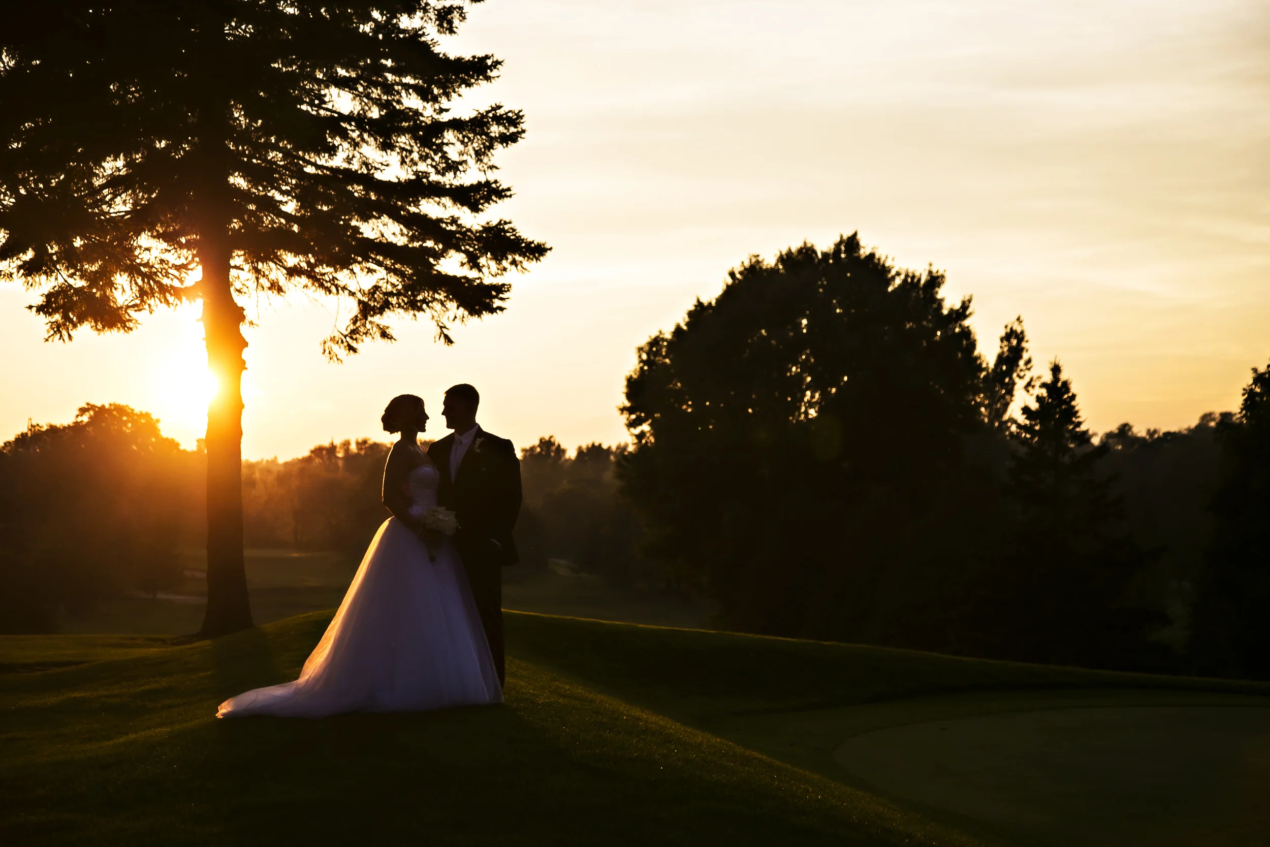 Nancy French Photography