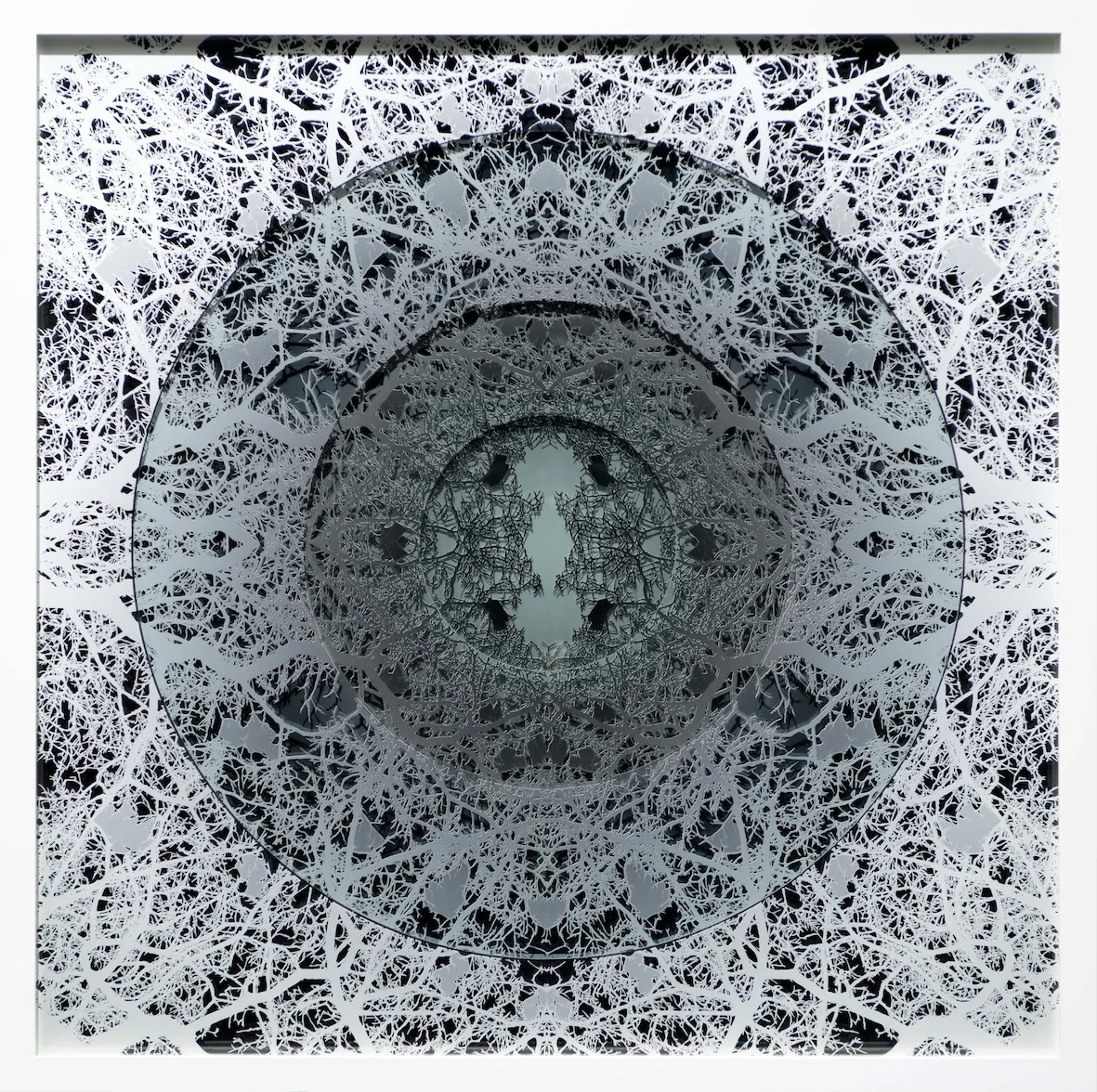 Radial (Black)