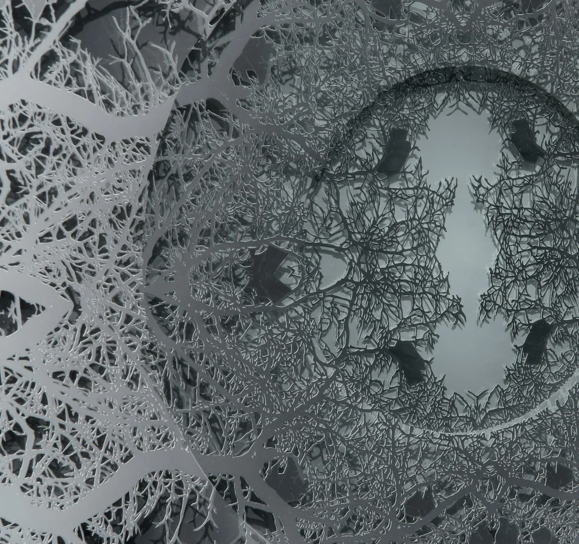 Radial (Black), (detail)