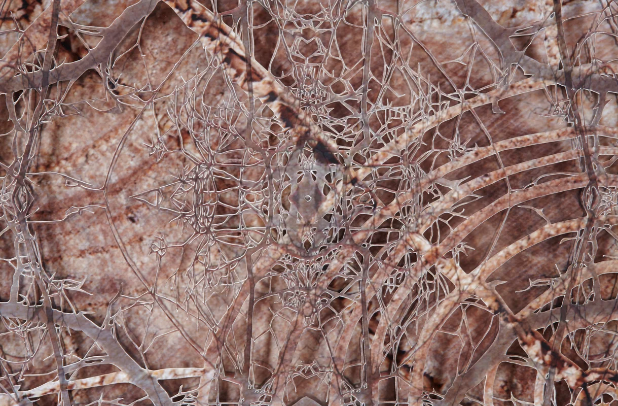 Link (detail)