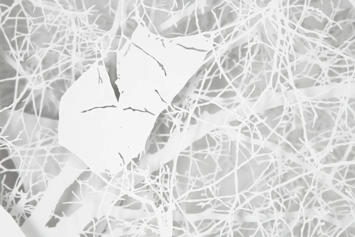 Flow (detail)