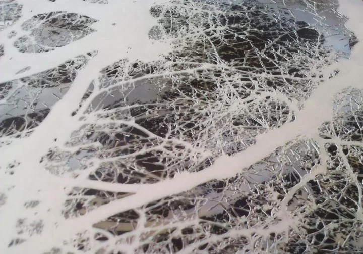 Sylvan Landscape (detail)