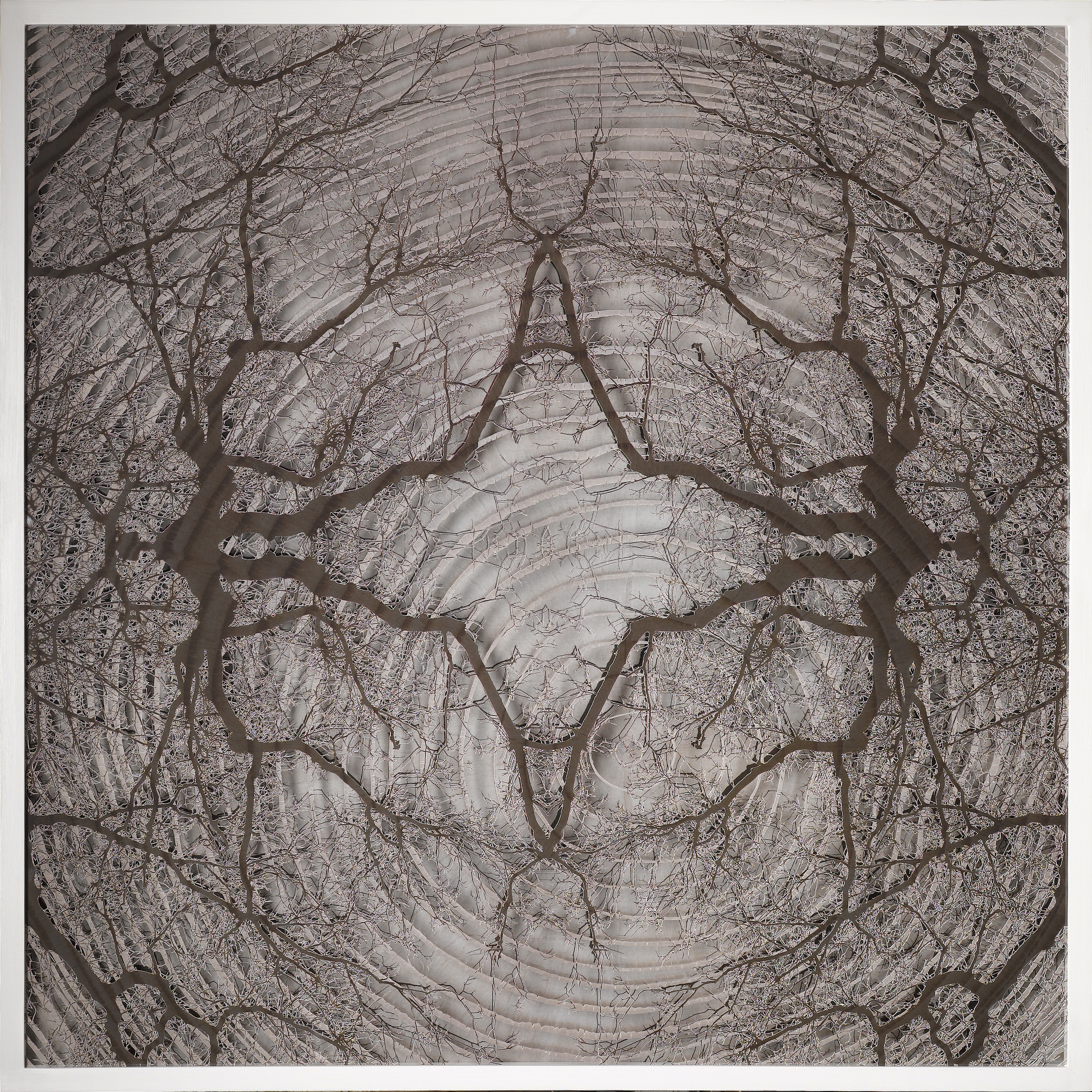 Elapse