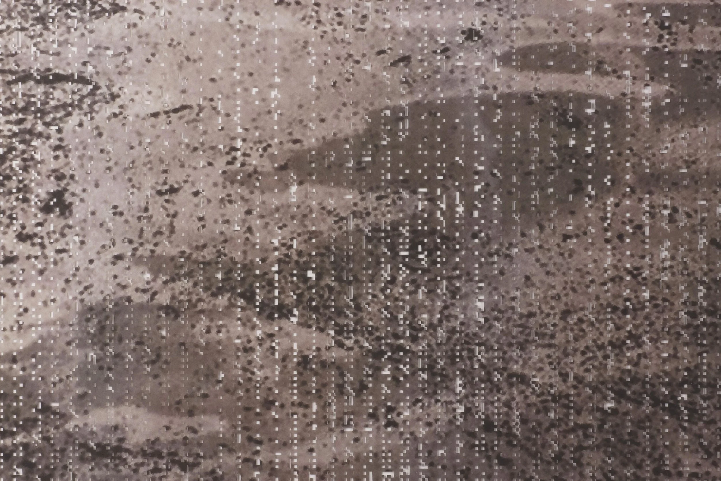 F-Pattern (detail)