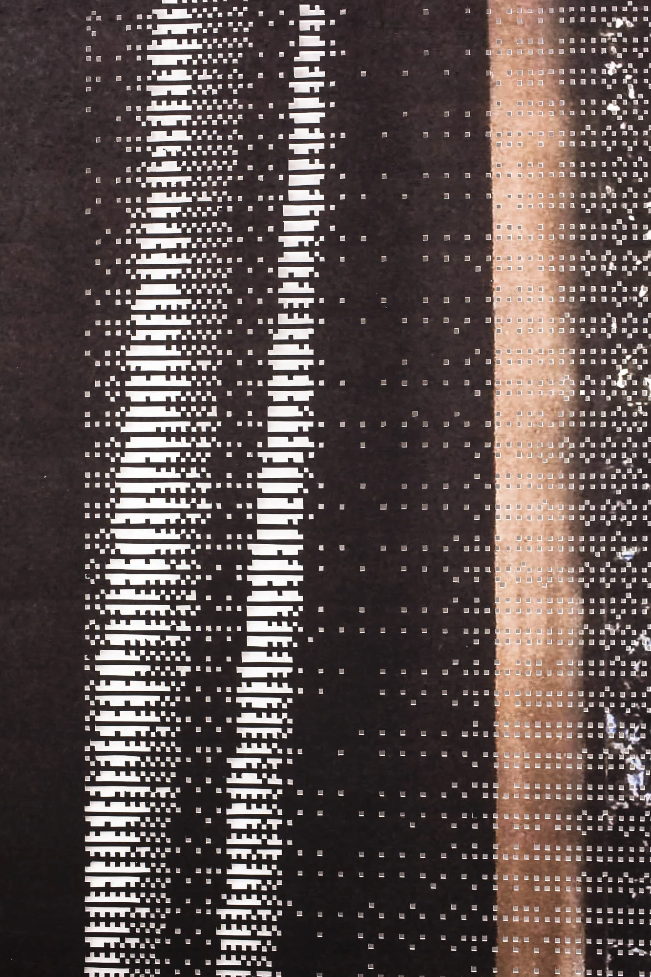 Shroud (detail)