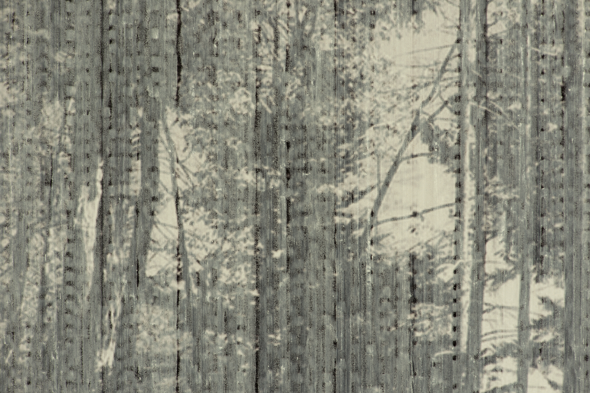 Apparition (Forest I)