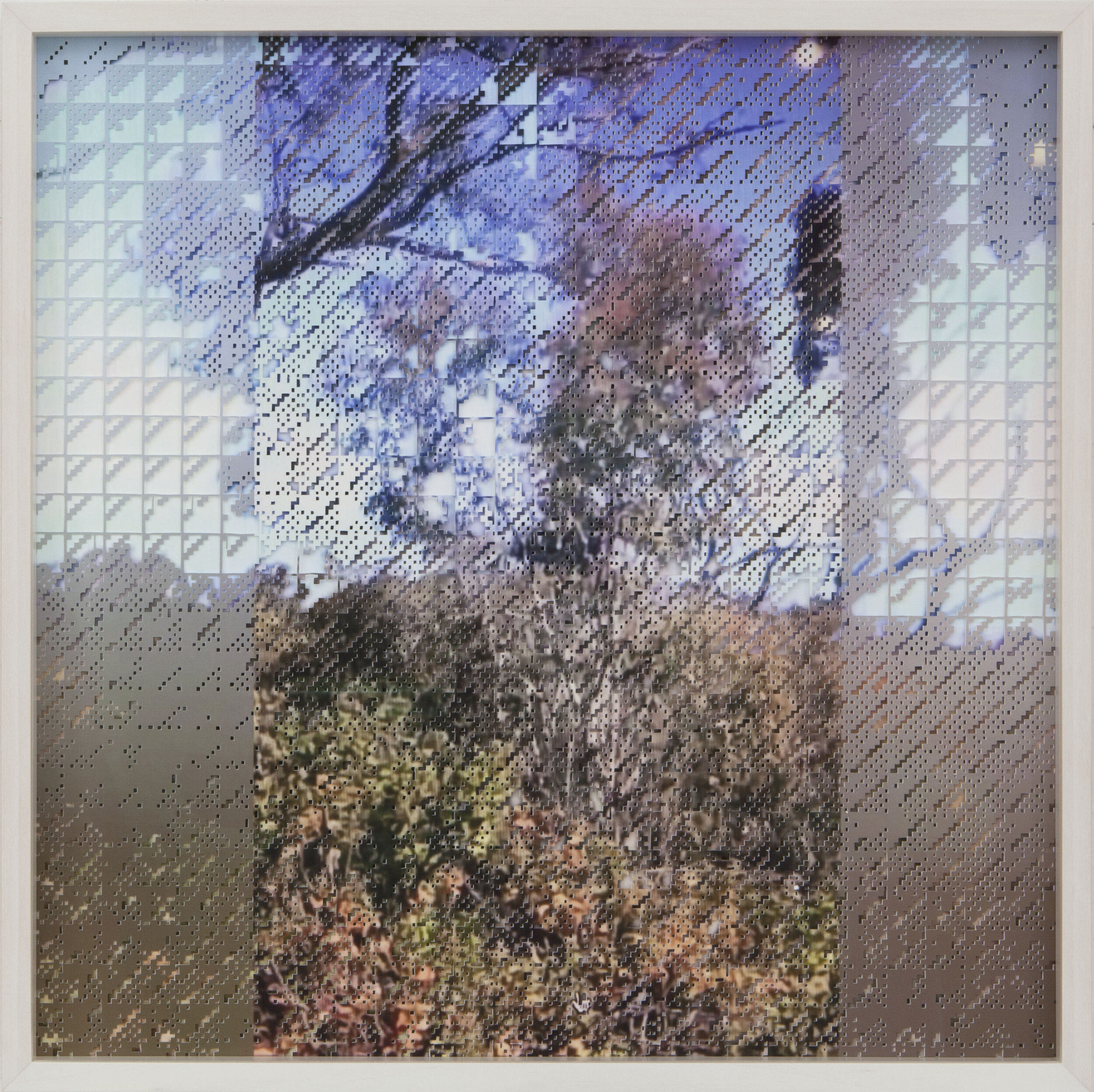 WindowSwap (Two Trees)