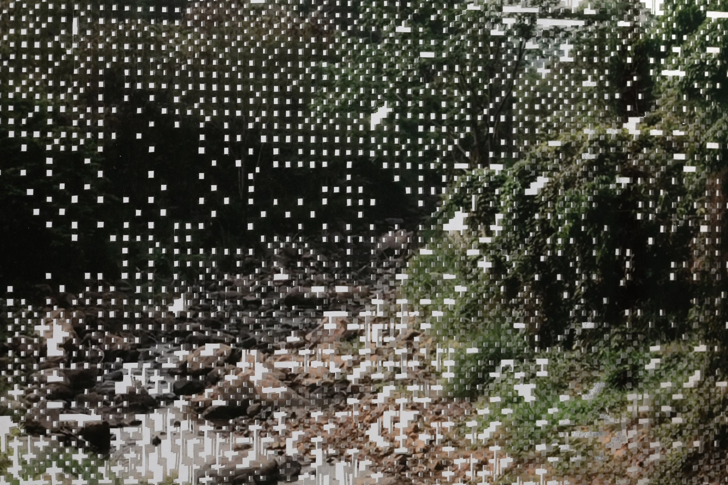 Caroline Jane Harris_WindowSwap (River)_2023_Sml_Detail2.jpg