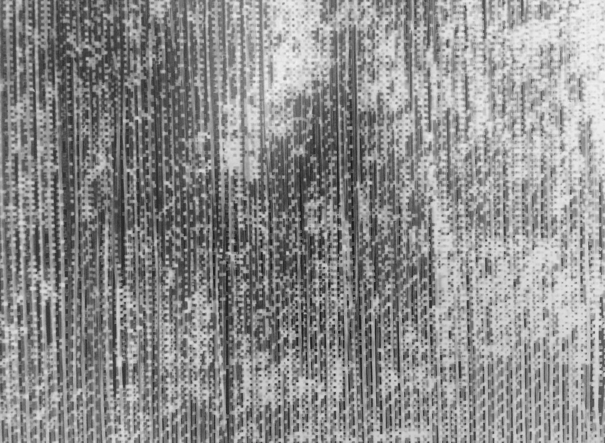 6b.-Seeing-Vermont-Photogram---detail.jpg