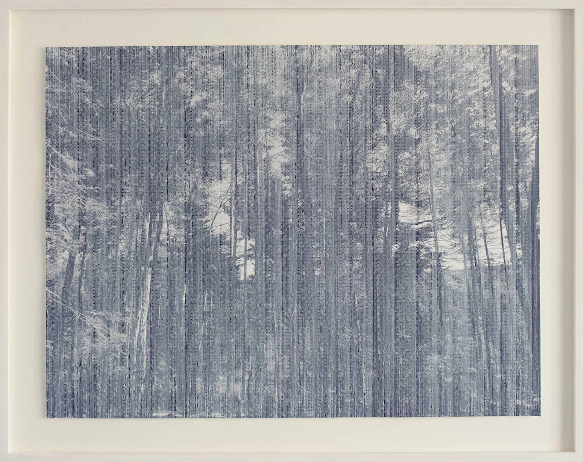 7.-Apparition-(Forest)---main.jpg