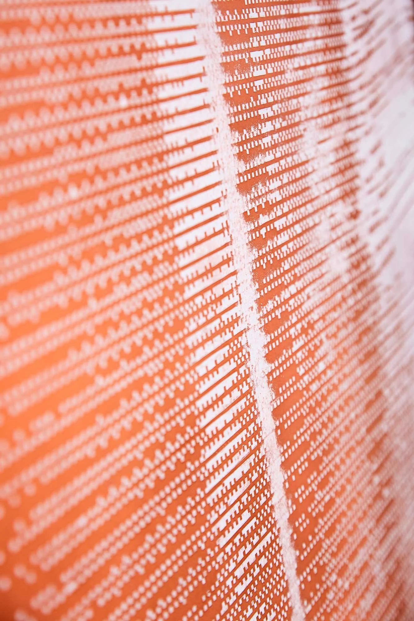 4d.-Hard-Copy-(Shroud)---detail.jpg