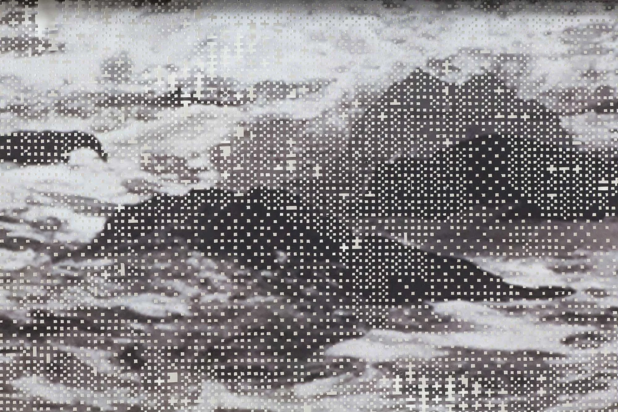 13b.-A-Distant-Presence---detail.jpg