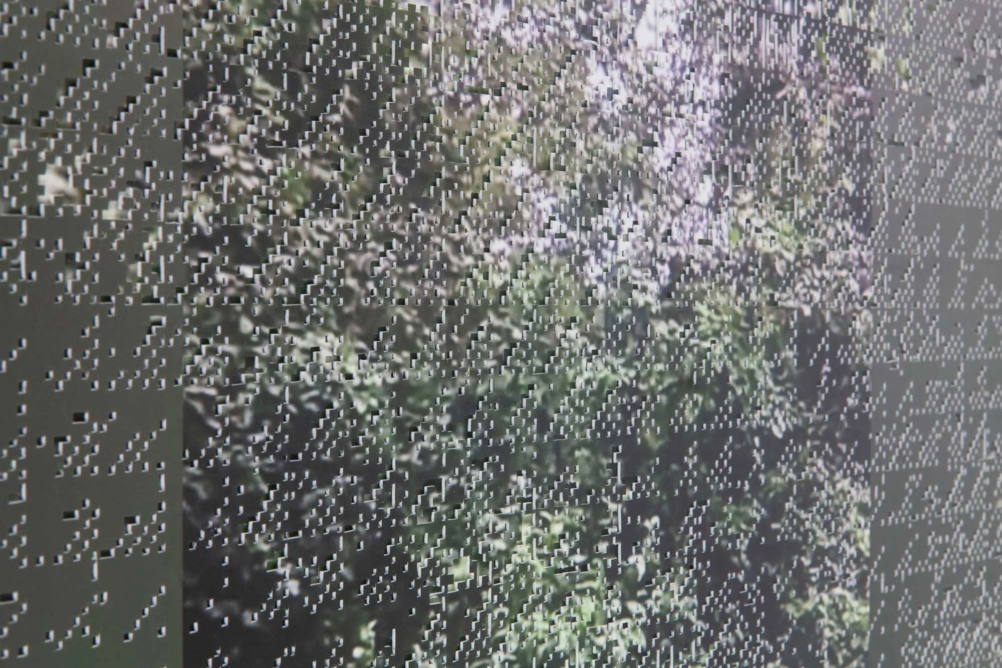 17b.WindowSwap-(Trees)-detail.jpg