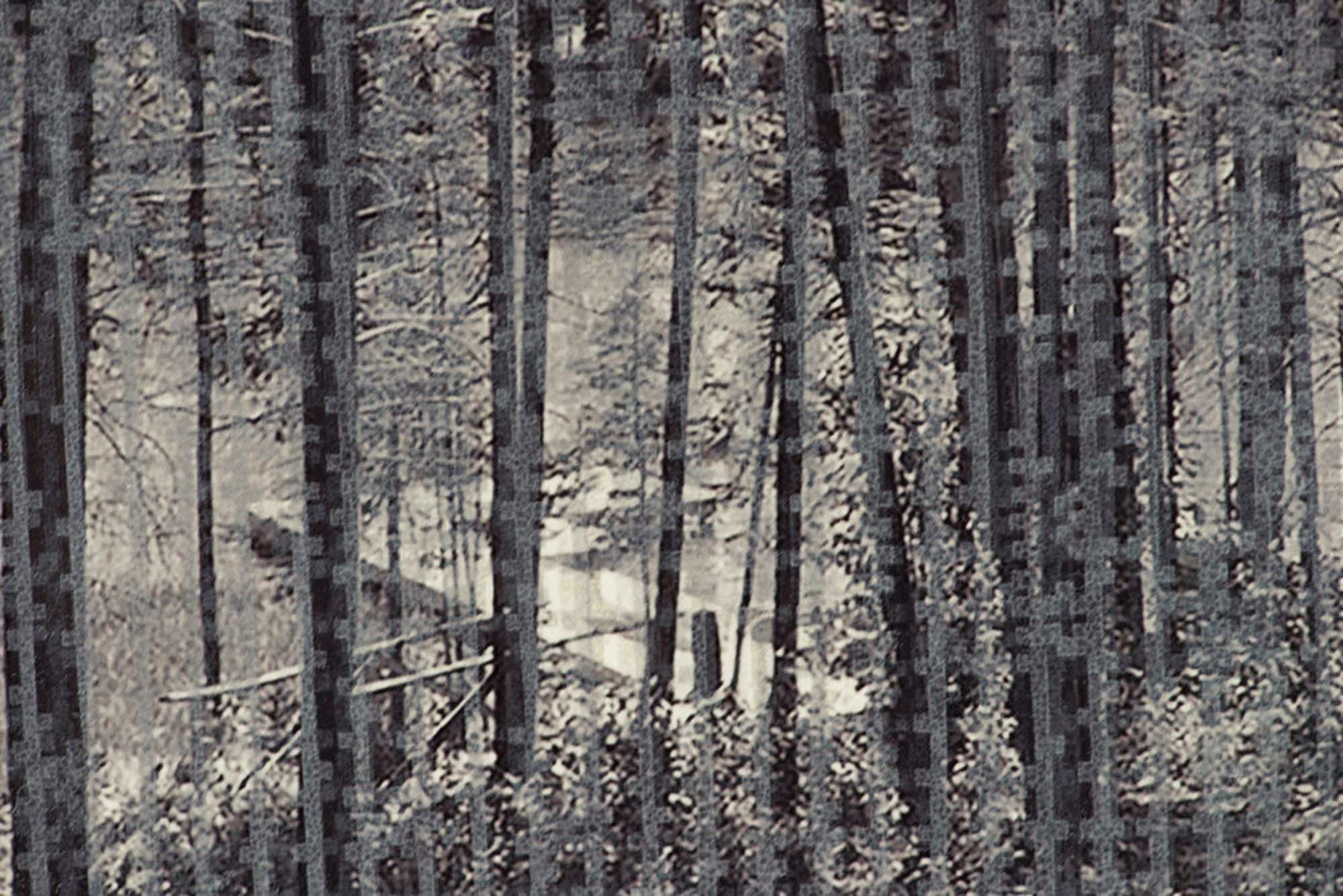 4b.-Seeing-Vermont-II---detail.jpg