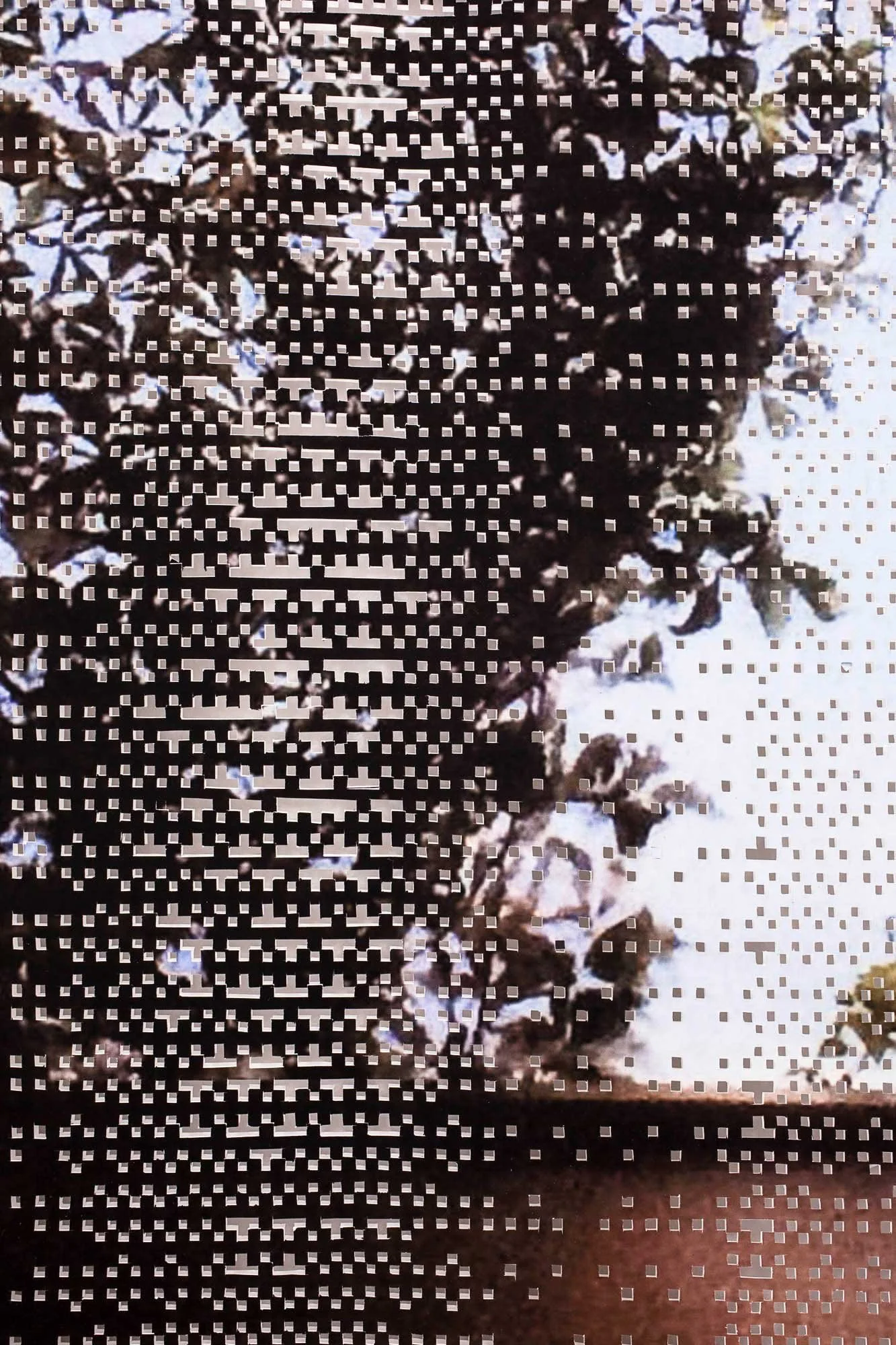 1c.-Shroud---detail.jpg