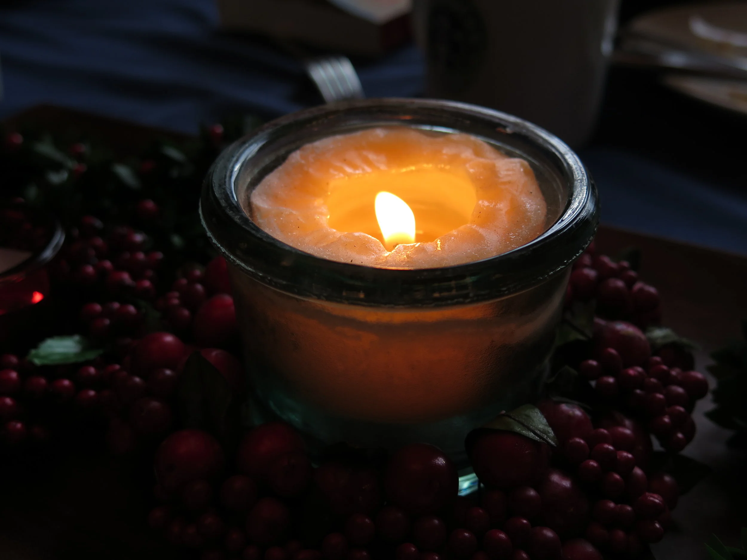 The Roots of Winter - Nourish Move Energize