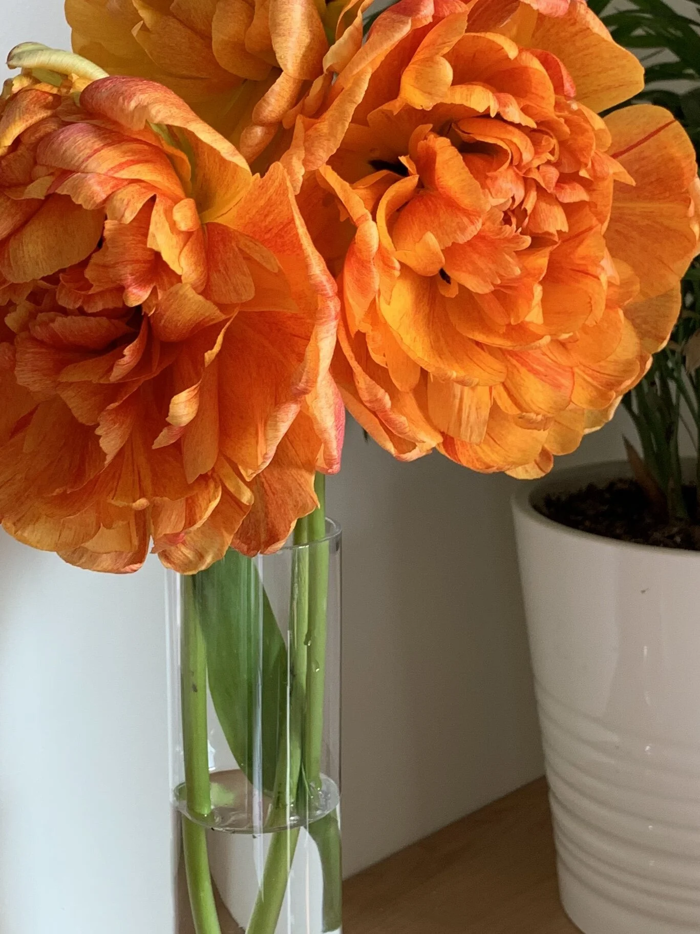 Leadership Circle: Conscious Leadership for Troubled Times