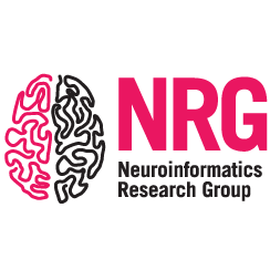 Neuroinfomatics Research Group
