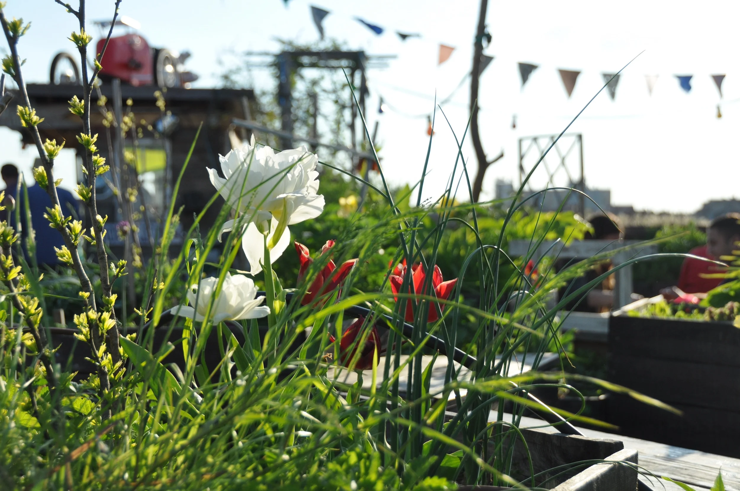 Foto Ruta  Hashtag Tour