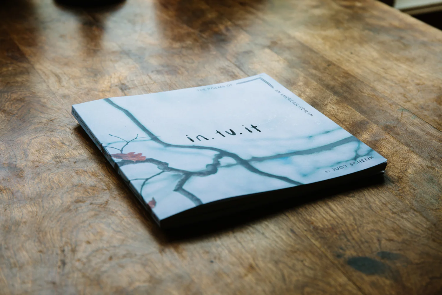 VSCO_JudySchenk_5-16_Small_-9511.jpg