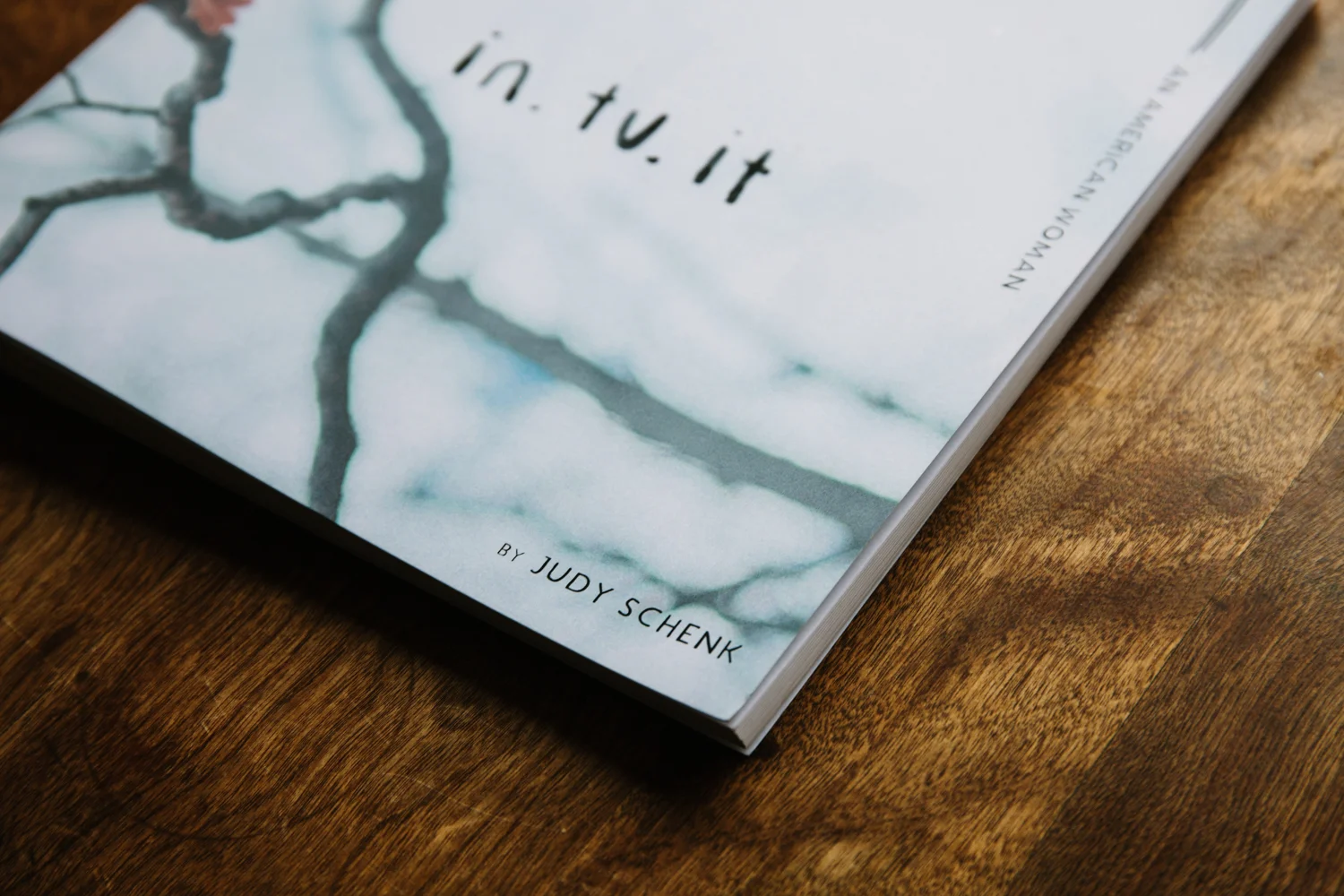 VSCO_JudySchenk_5-16_Small_-9514.jpg
