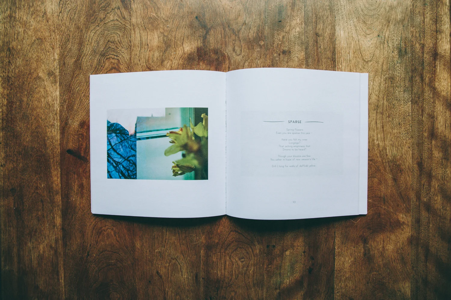 VSCO_JudySchenk_5-16_Small_-9497.jpg