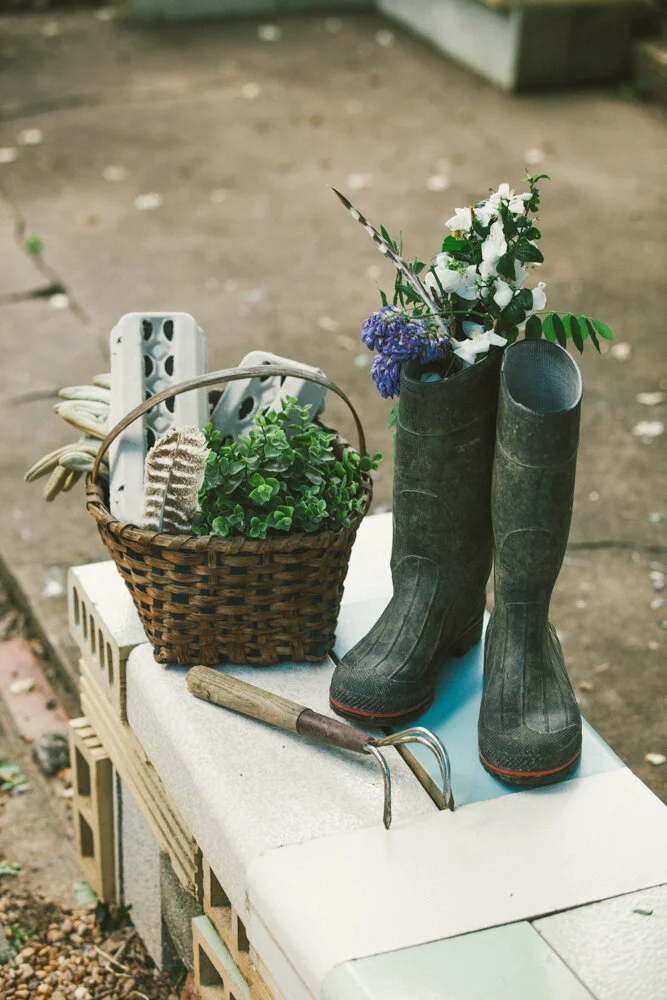 VSCO_JudySchenk_small_-0367.jpg