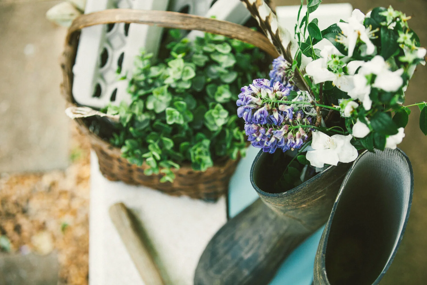 VSCO_JudySchenk_small_-0492.jpg