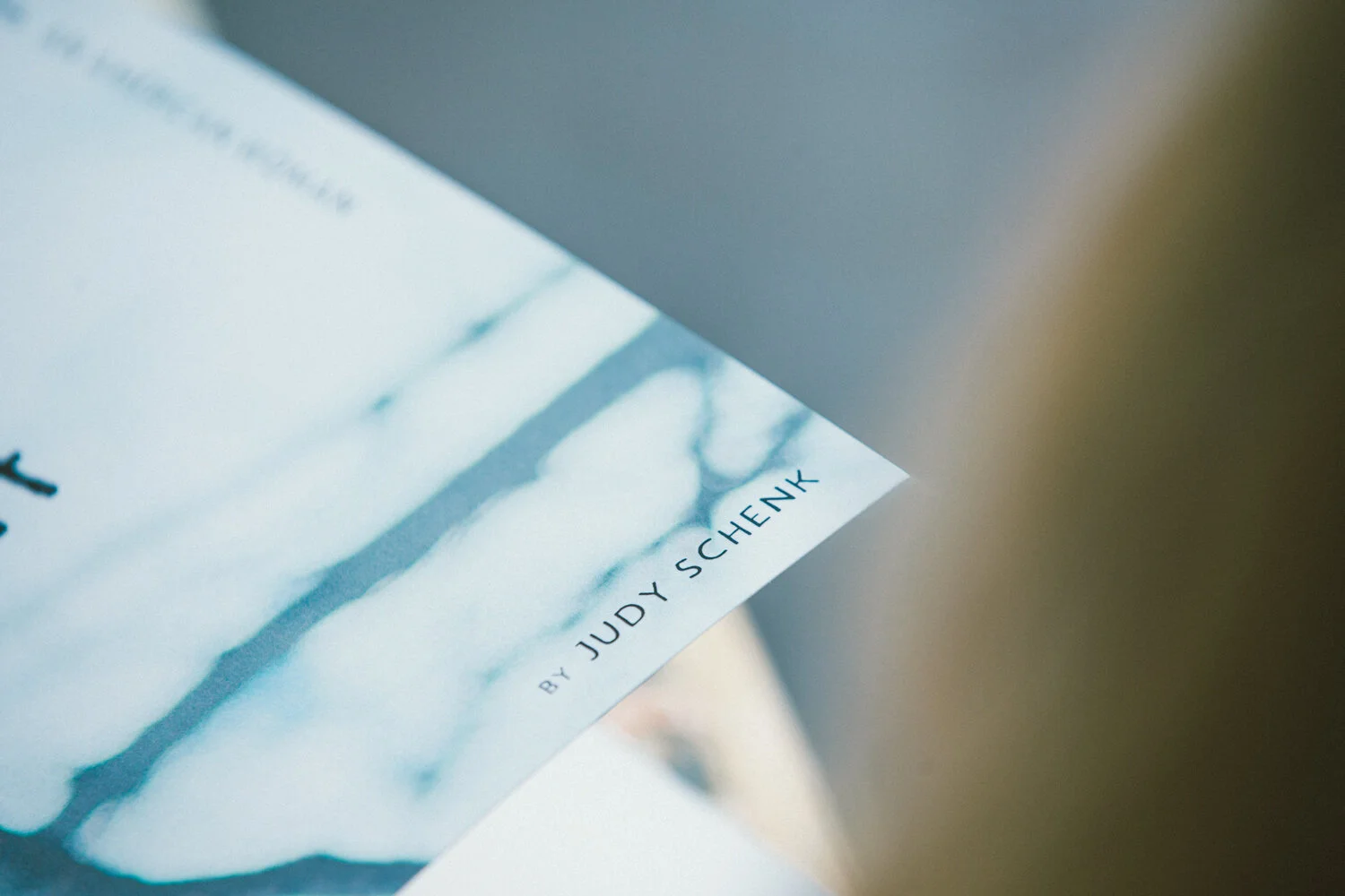 VSCO_JudySchenk_small_-0511.jpg